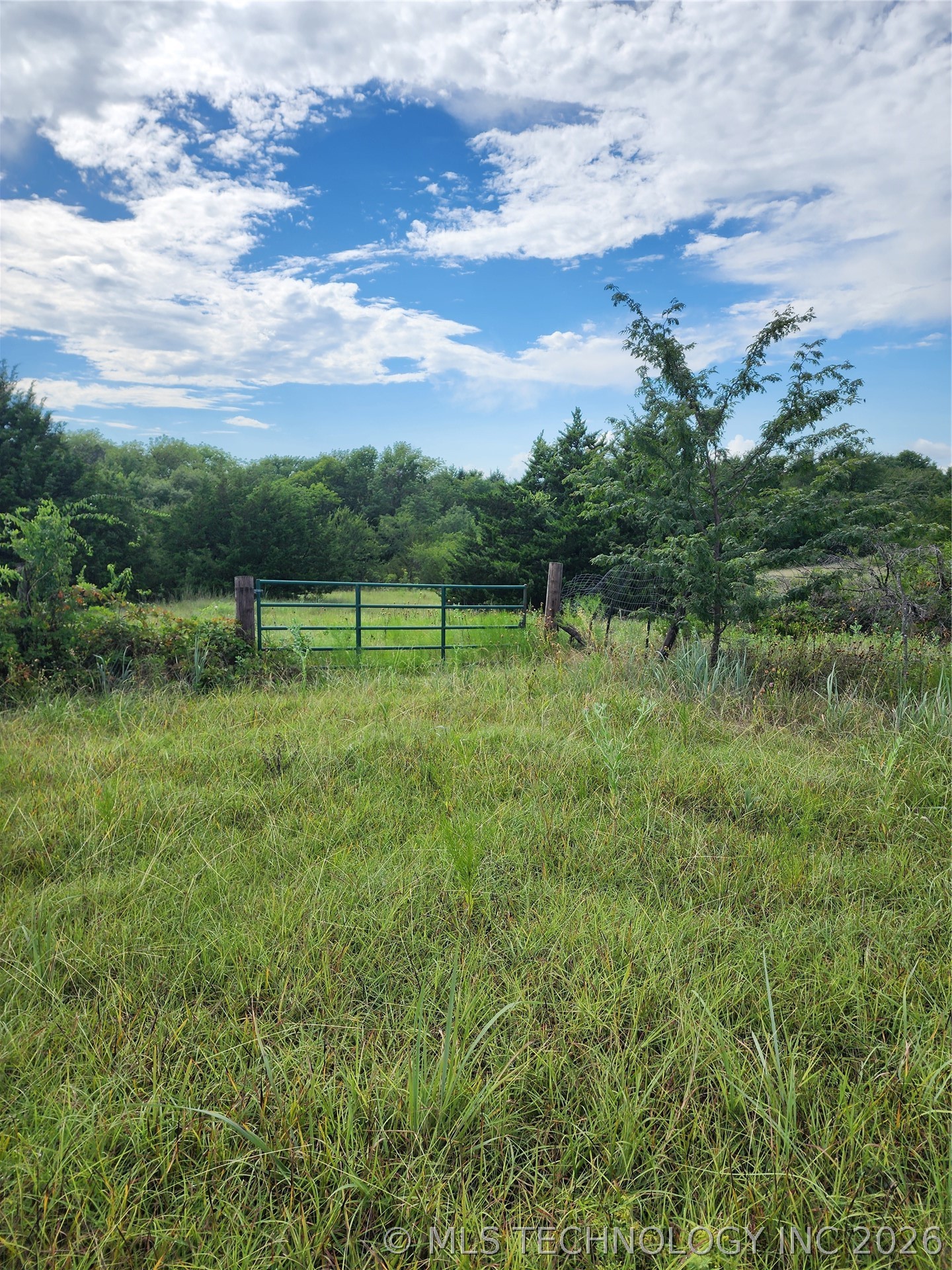 8353 Knobb Road Property Photo 13