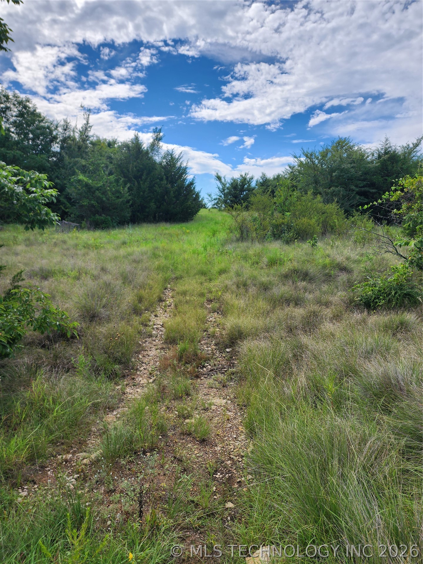 8353 Knobb Road Property Photo 15
