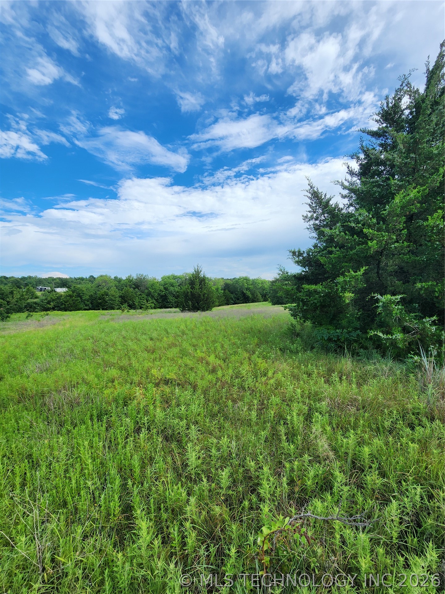 8353 Knobb Road Property Photo 17