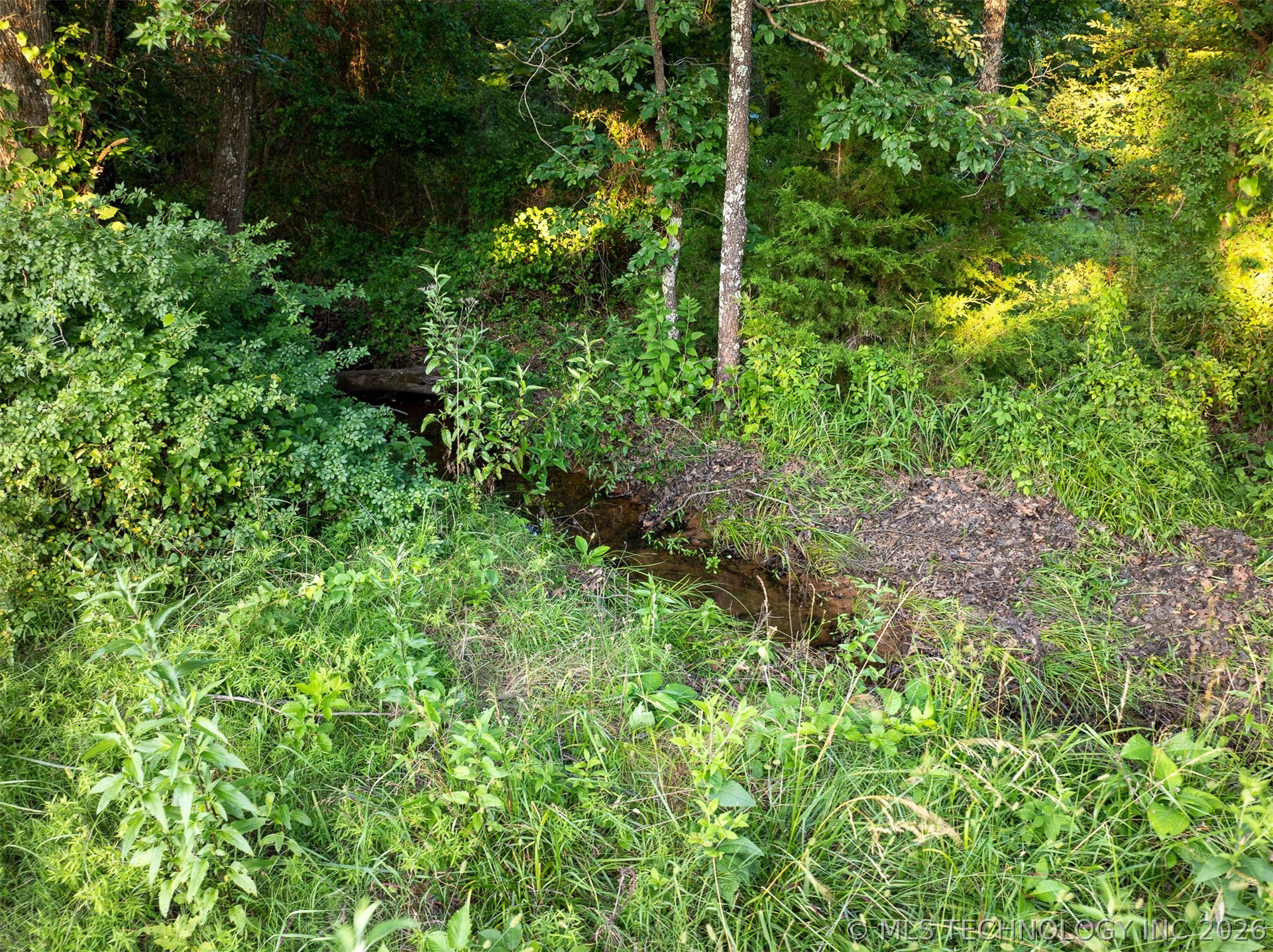 1 E 390 Road Property Photo 37