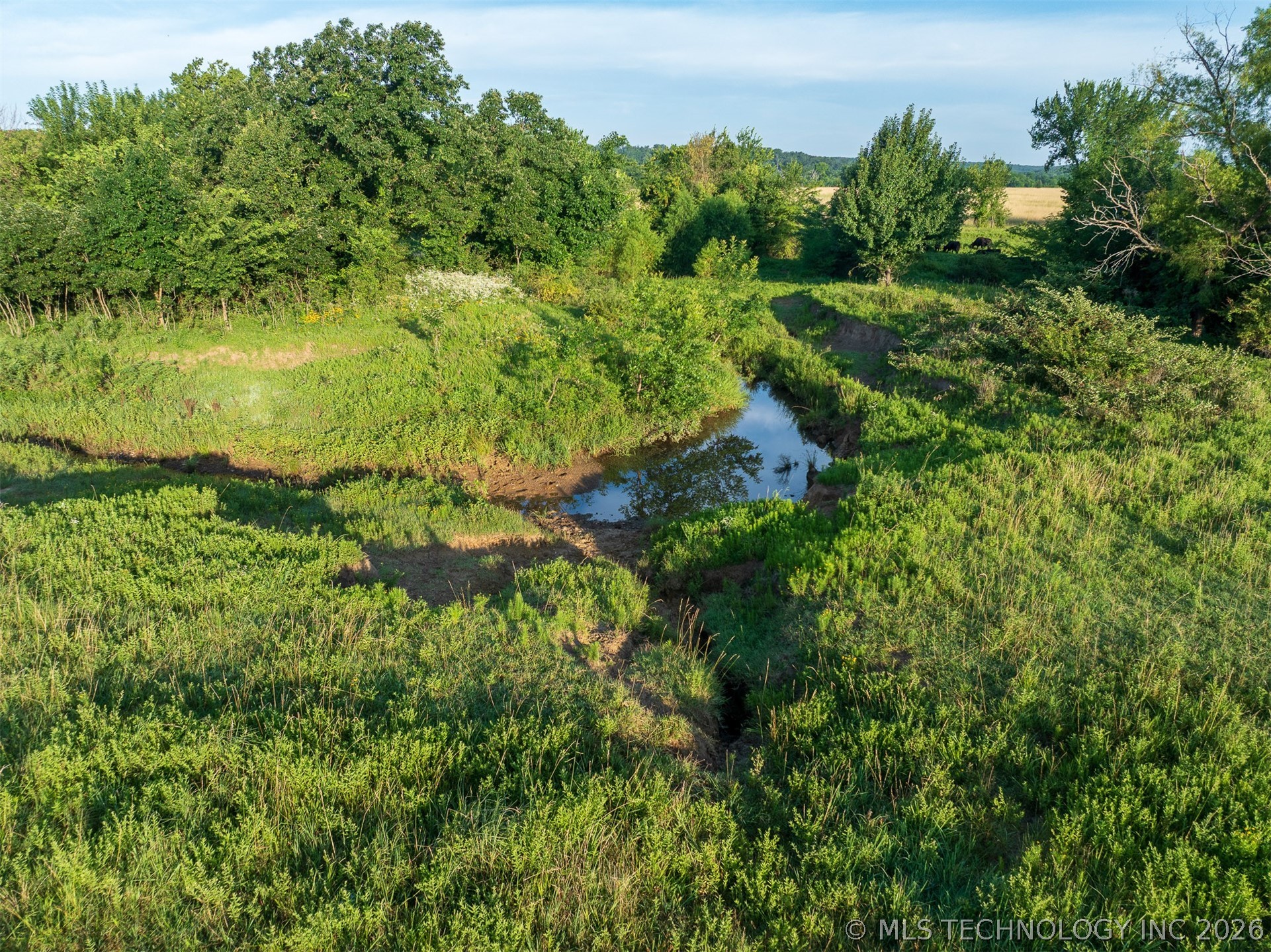 3 N 427 Road Property Photo 11