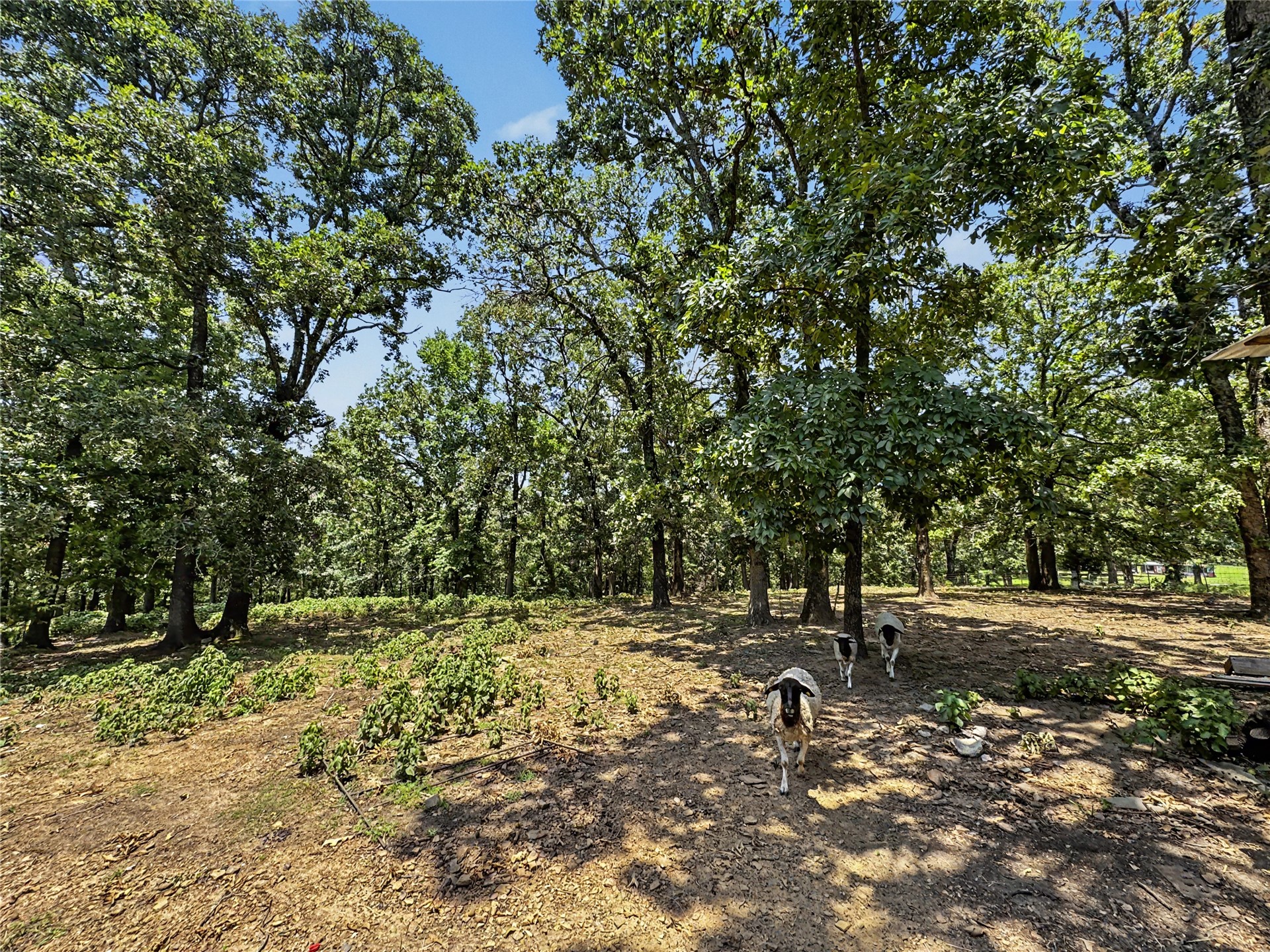 20472 S 494 Road Property Photo 82