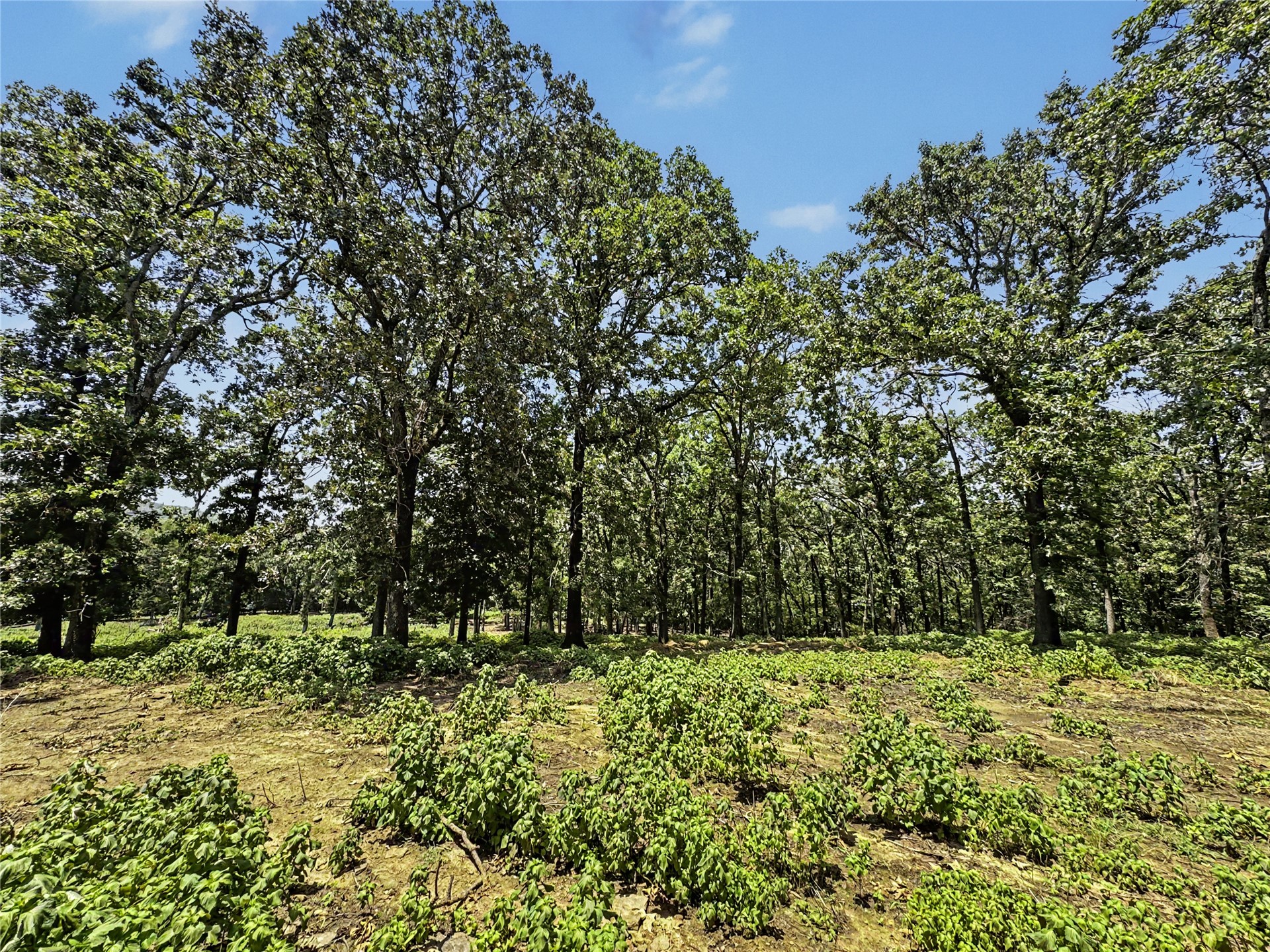 20472 S 494 Road Property Photo 88