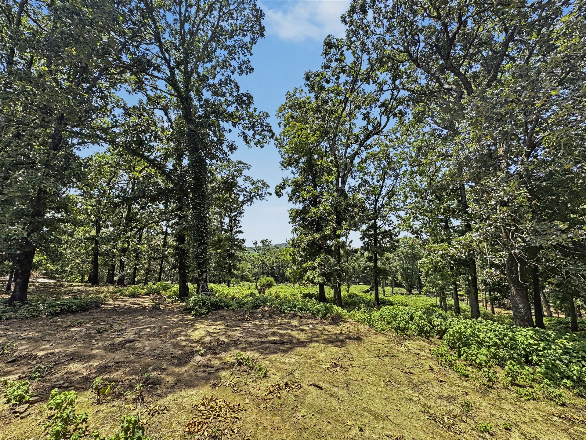 20472 S 494 Road Property Photo 89