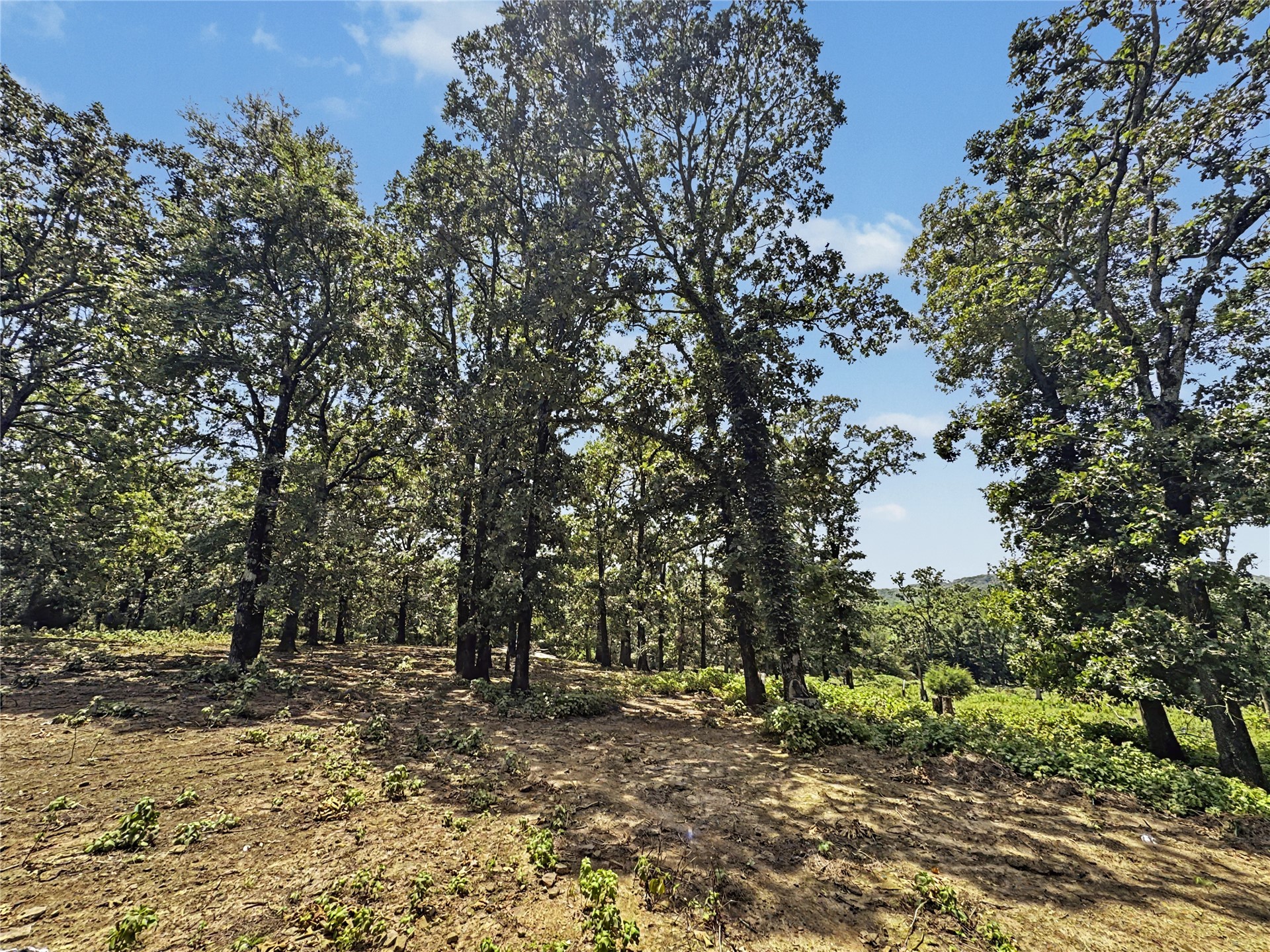 20472 S 494 Road Property Photo 90