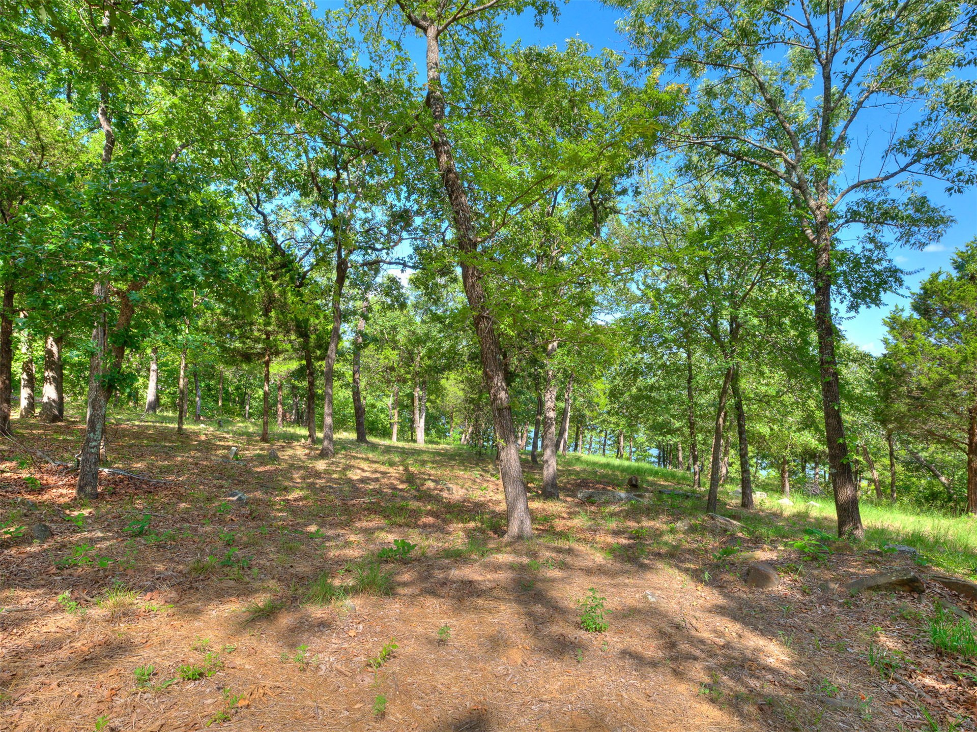 387 Holiday Hills Road Property Photo 11
