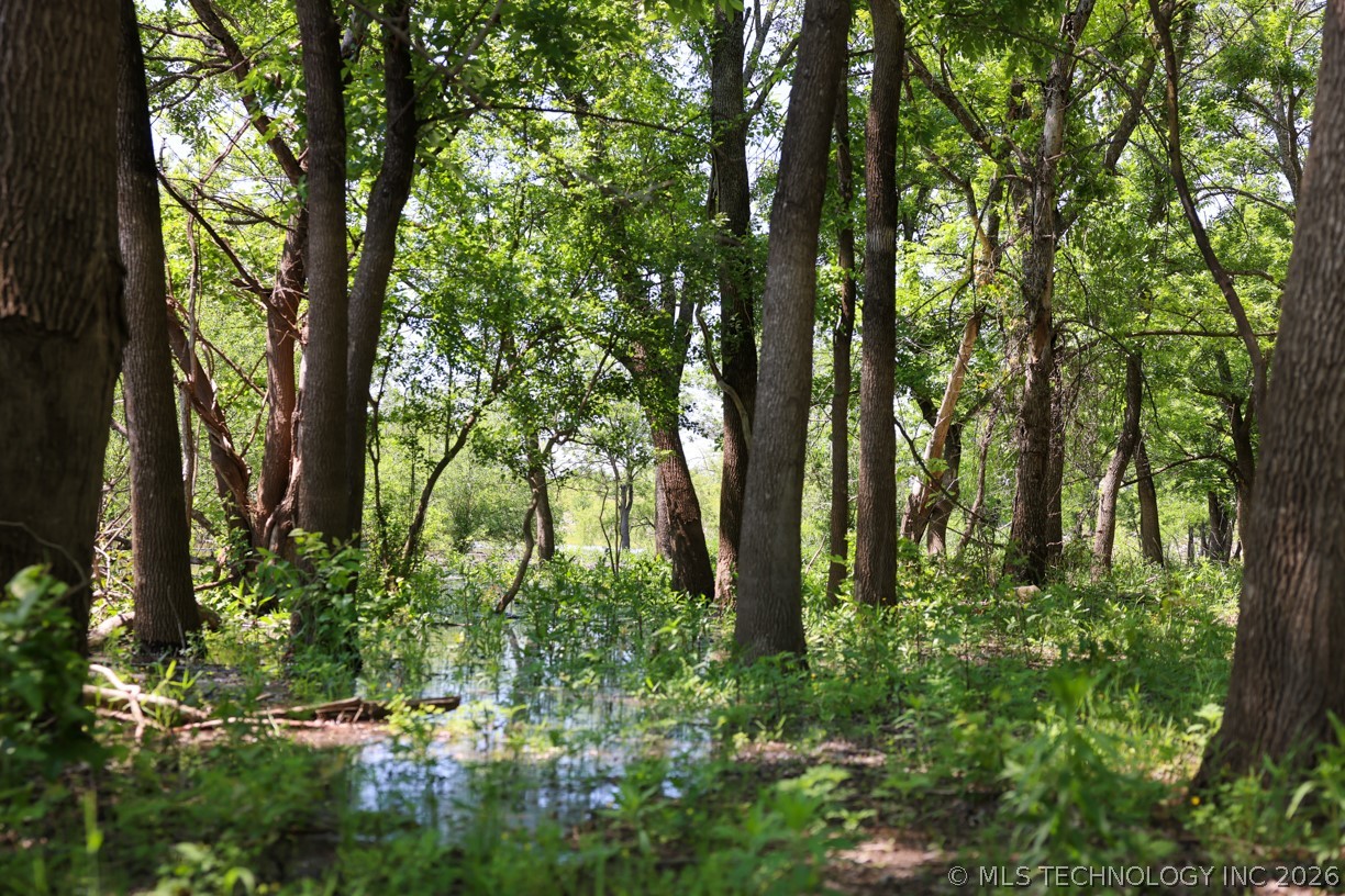 17 N 4390 Property Photo 15