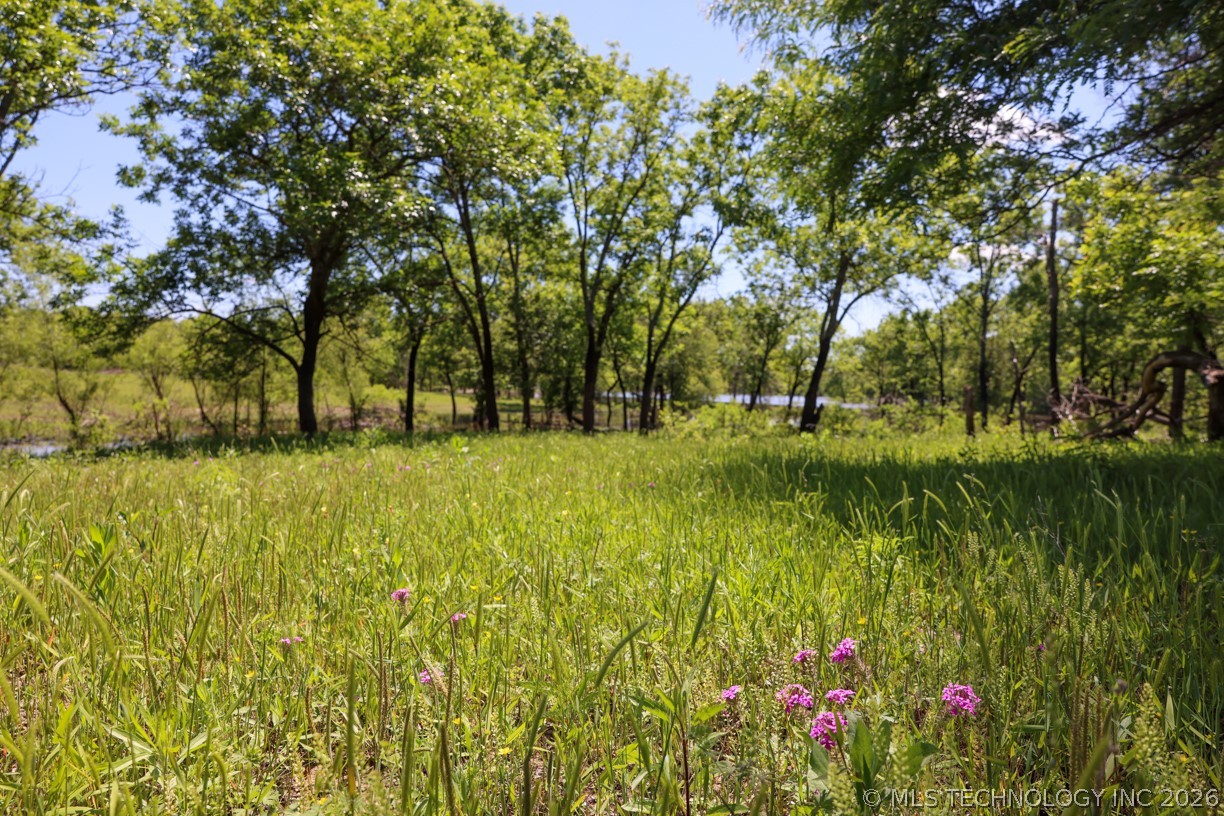 17 N 4390 Property Photo 17