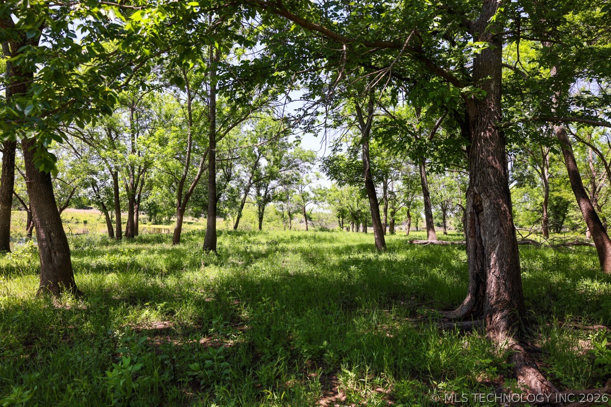 17 N 4390 Property Photo 18