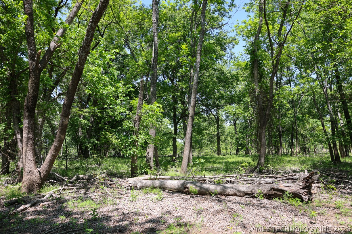 17 N 4390 Property Photo 48