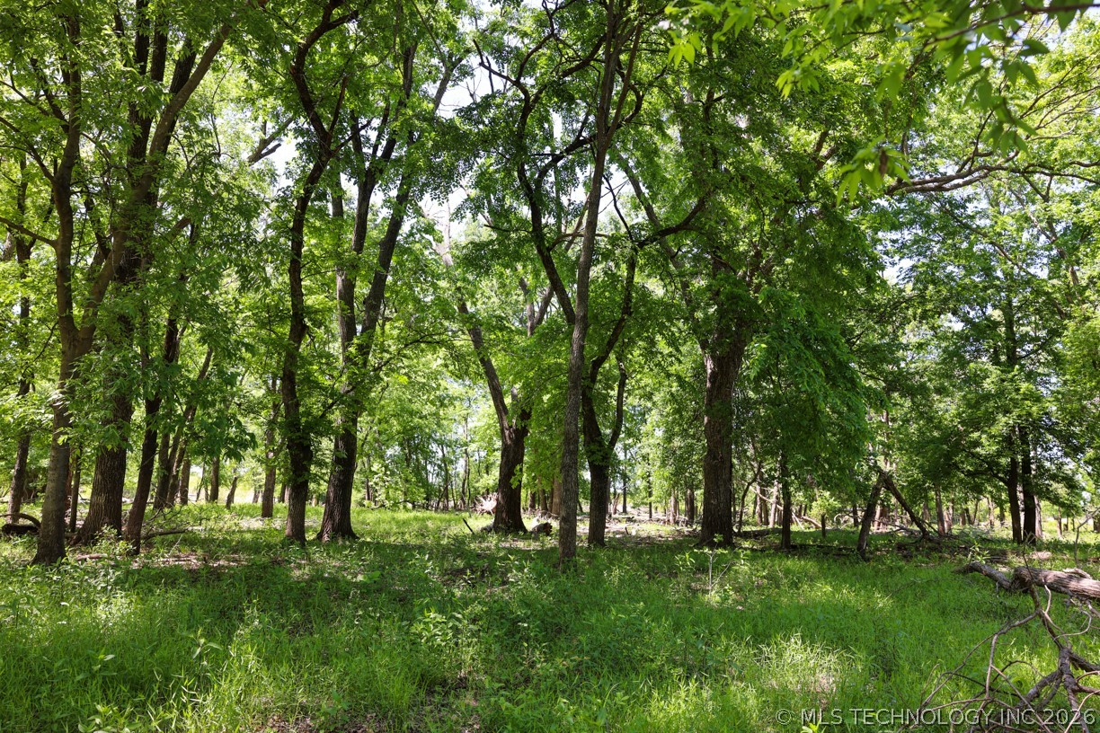 17 N 4390 Property Photo 53