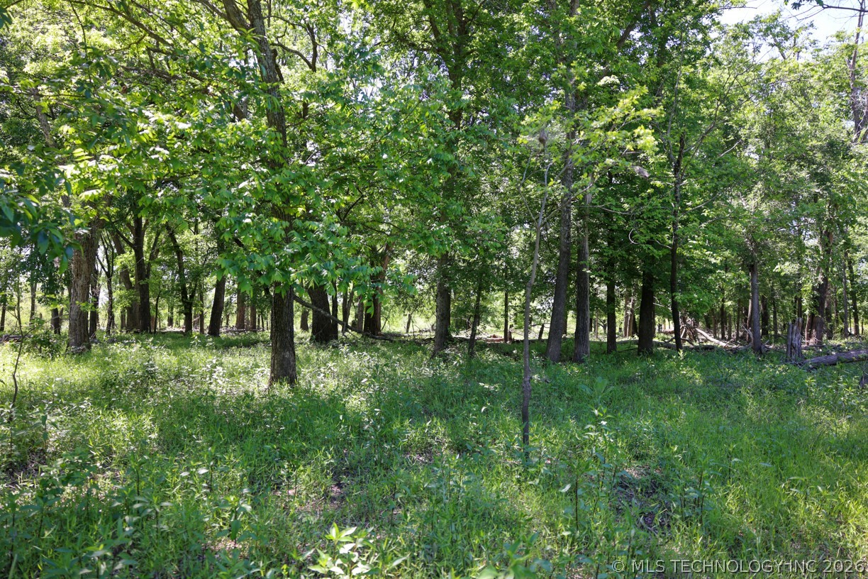 17 N 4390 Property Photo 55