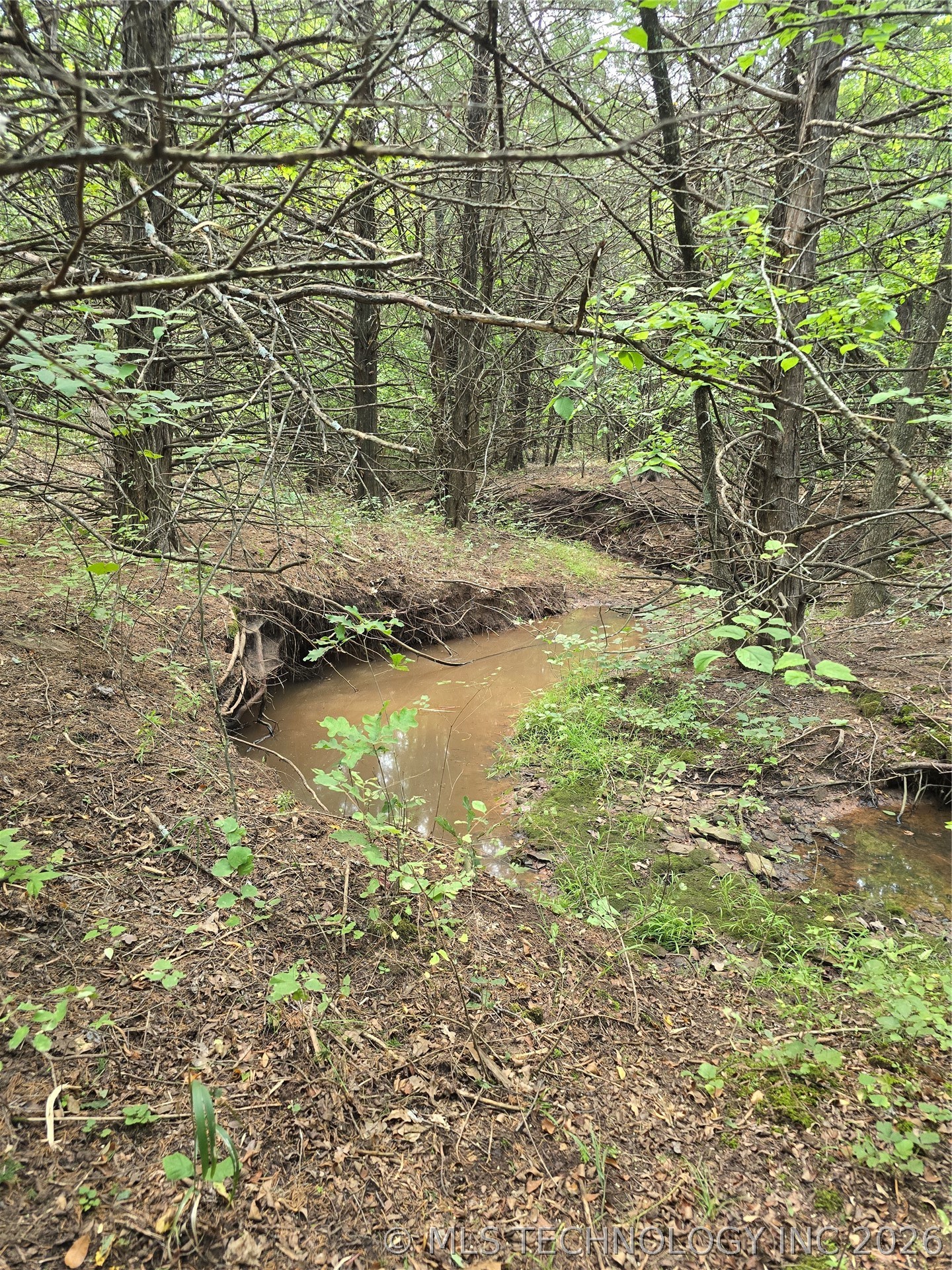 Hwy 18 Property Photo 15