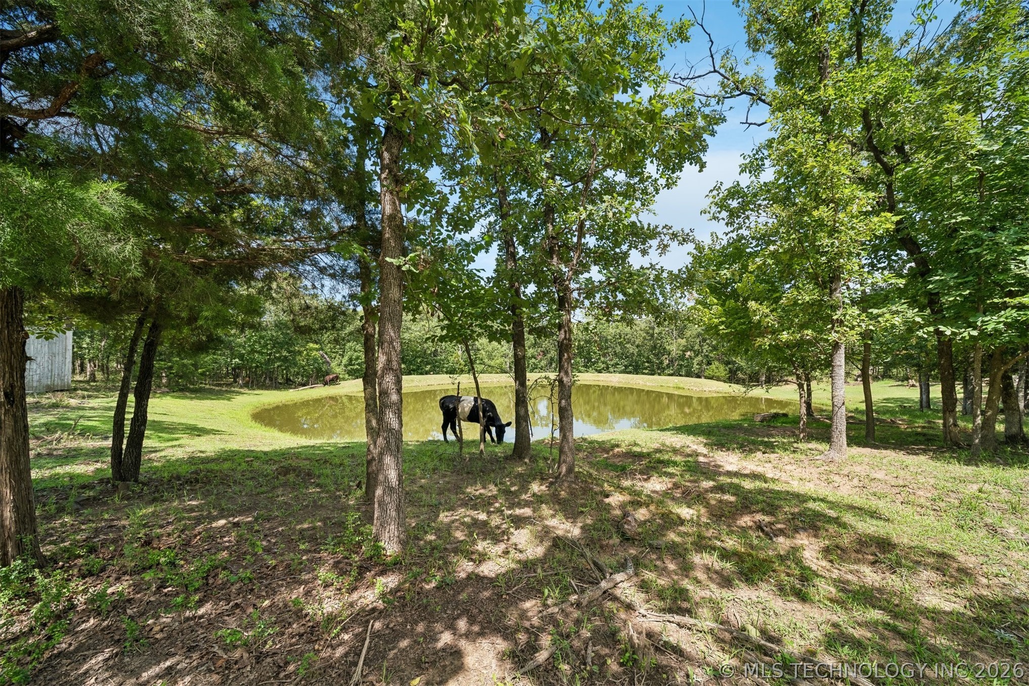 8116 Gary Drive Property Photo 4