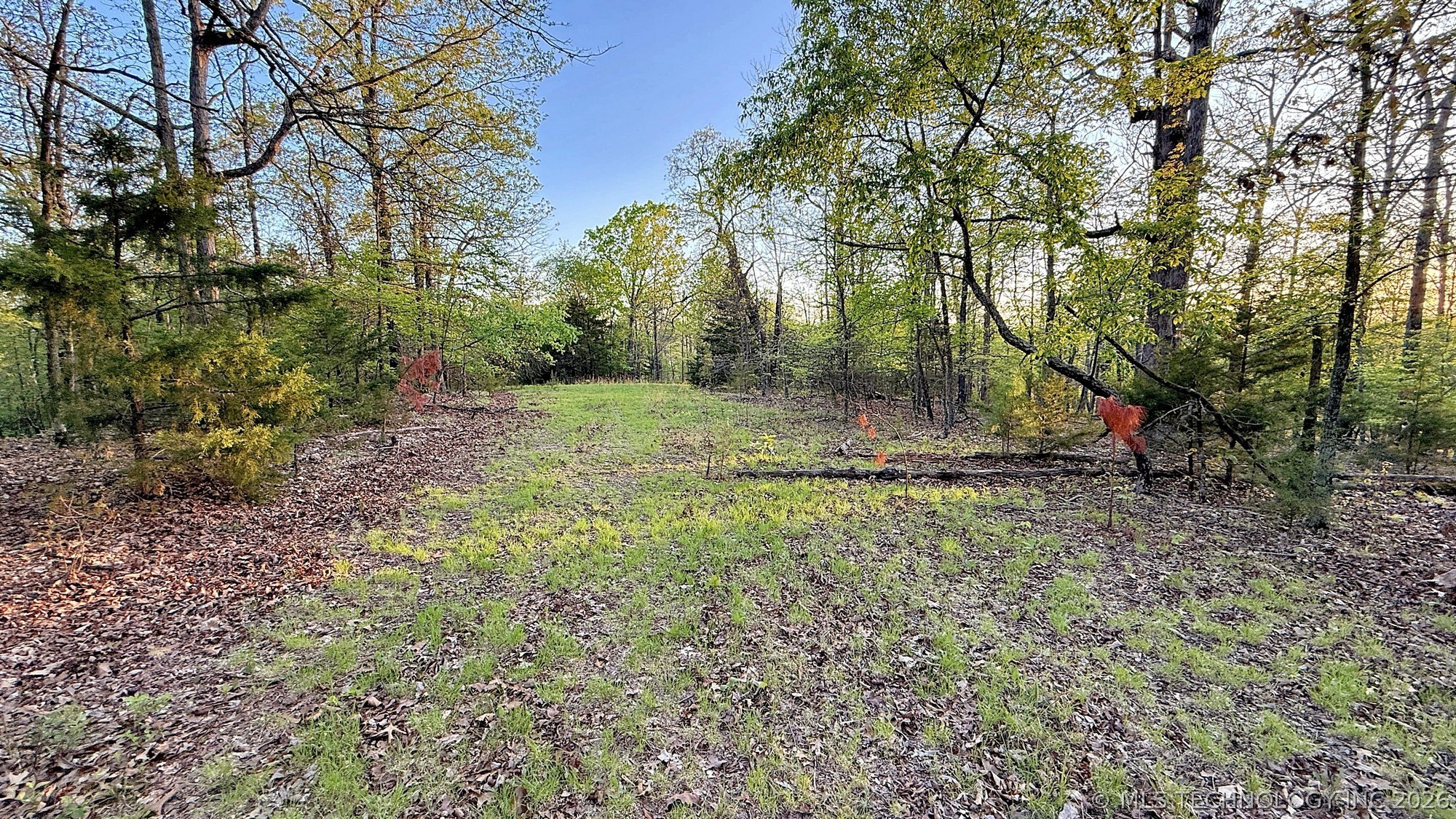 2345 Overlook Drive