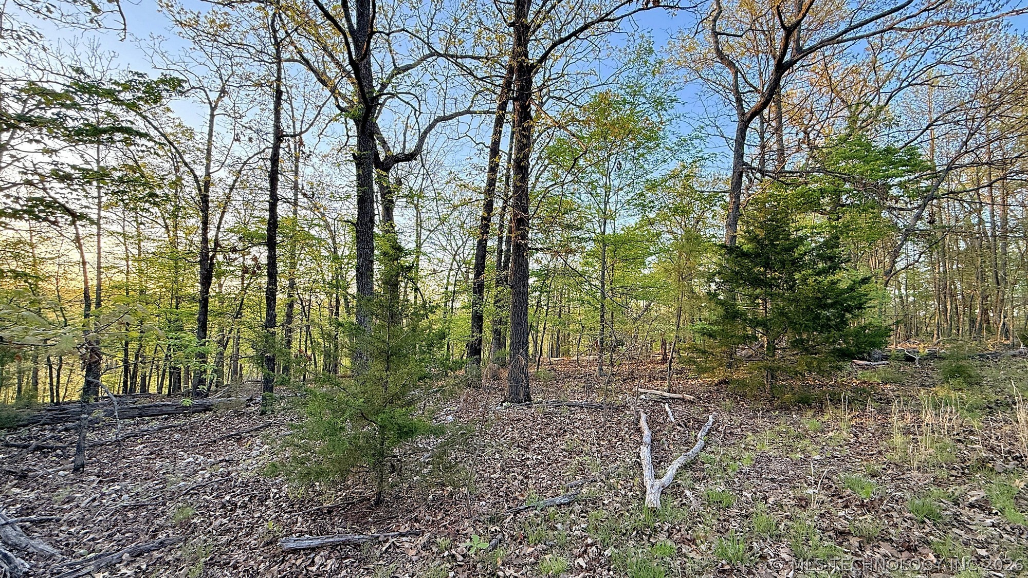 2345 Overlook Drive Property Photo 2