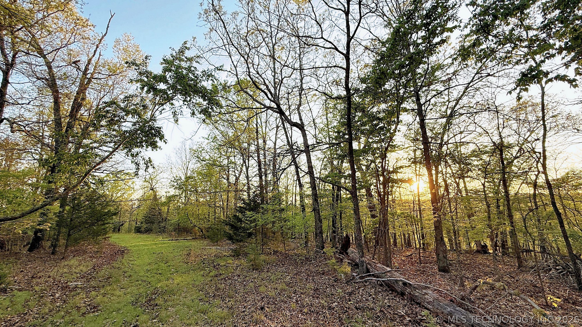 2345 Overlook Drive Property Photo 3