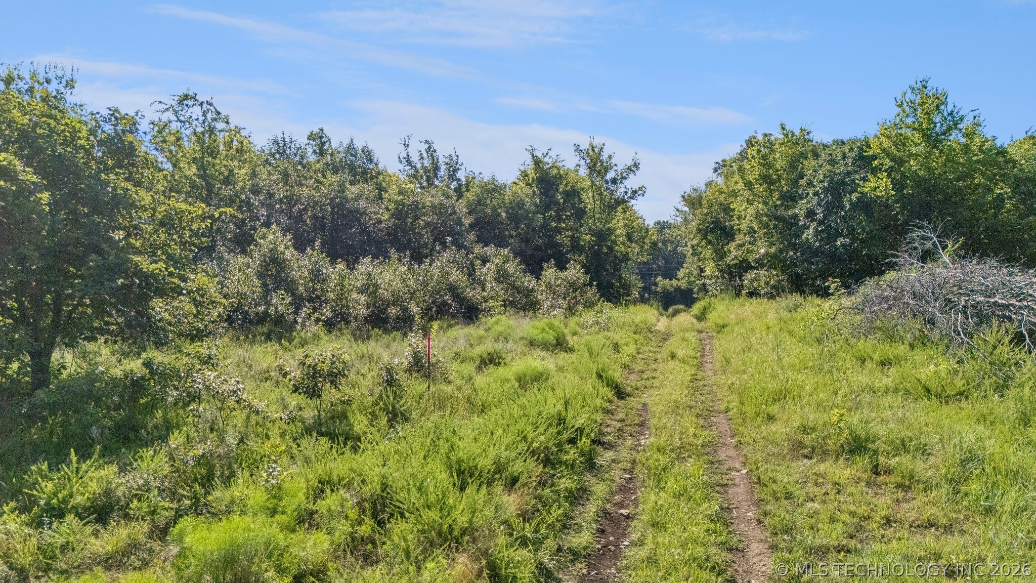 S Ranch Road Property Photo 14