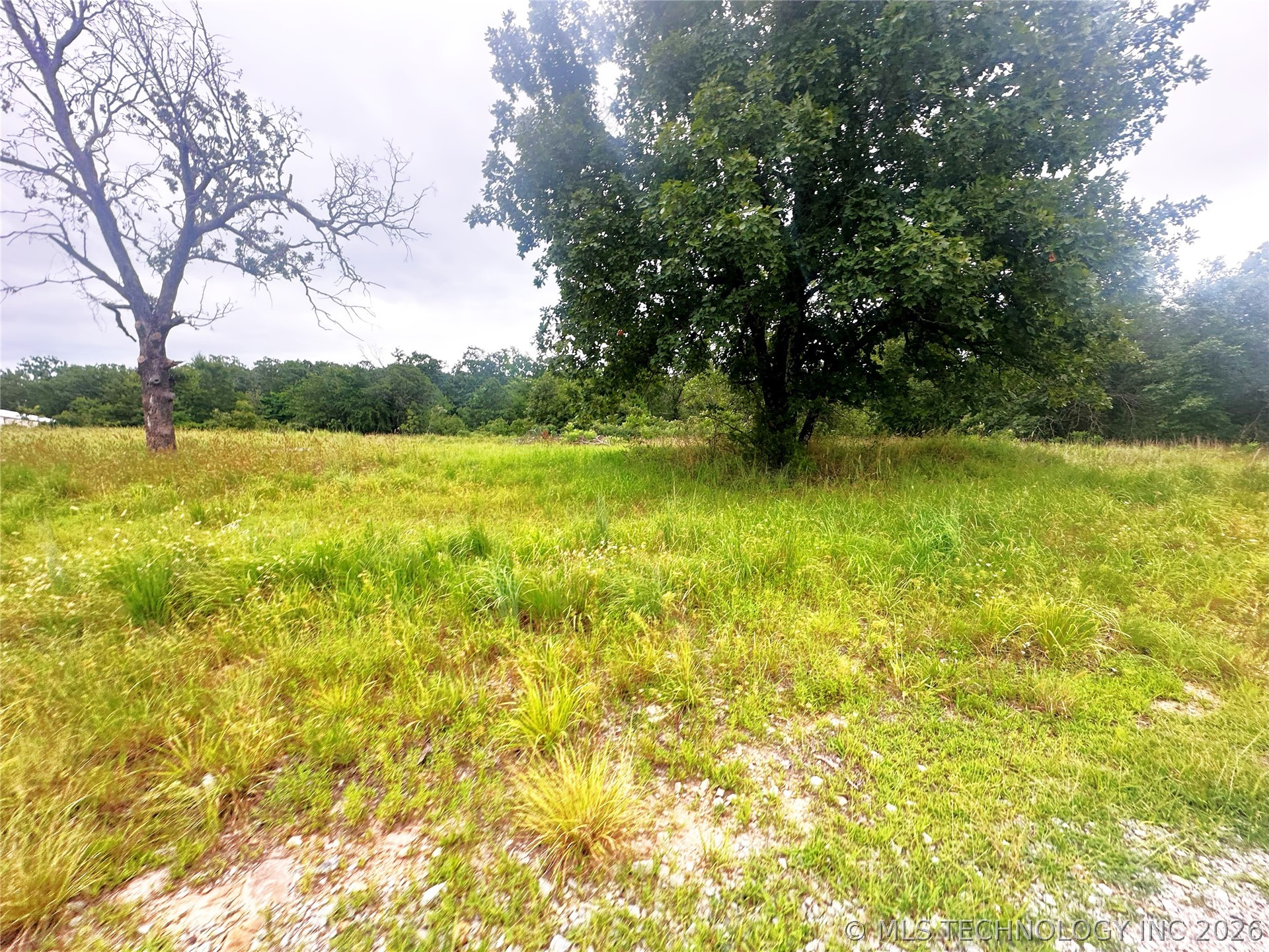 41 Loop Property Photo 2