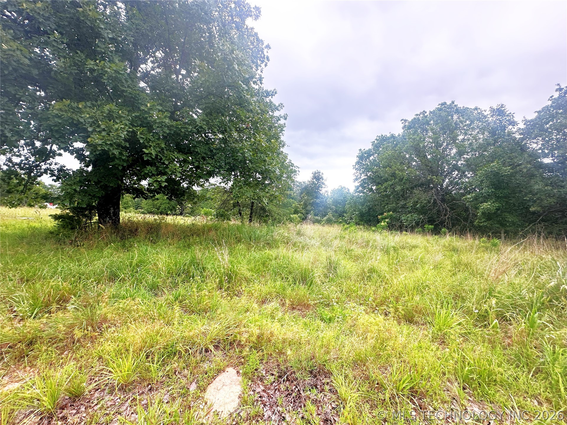 41 Loop Property Photo 3