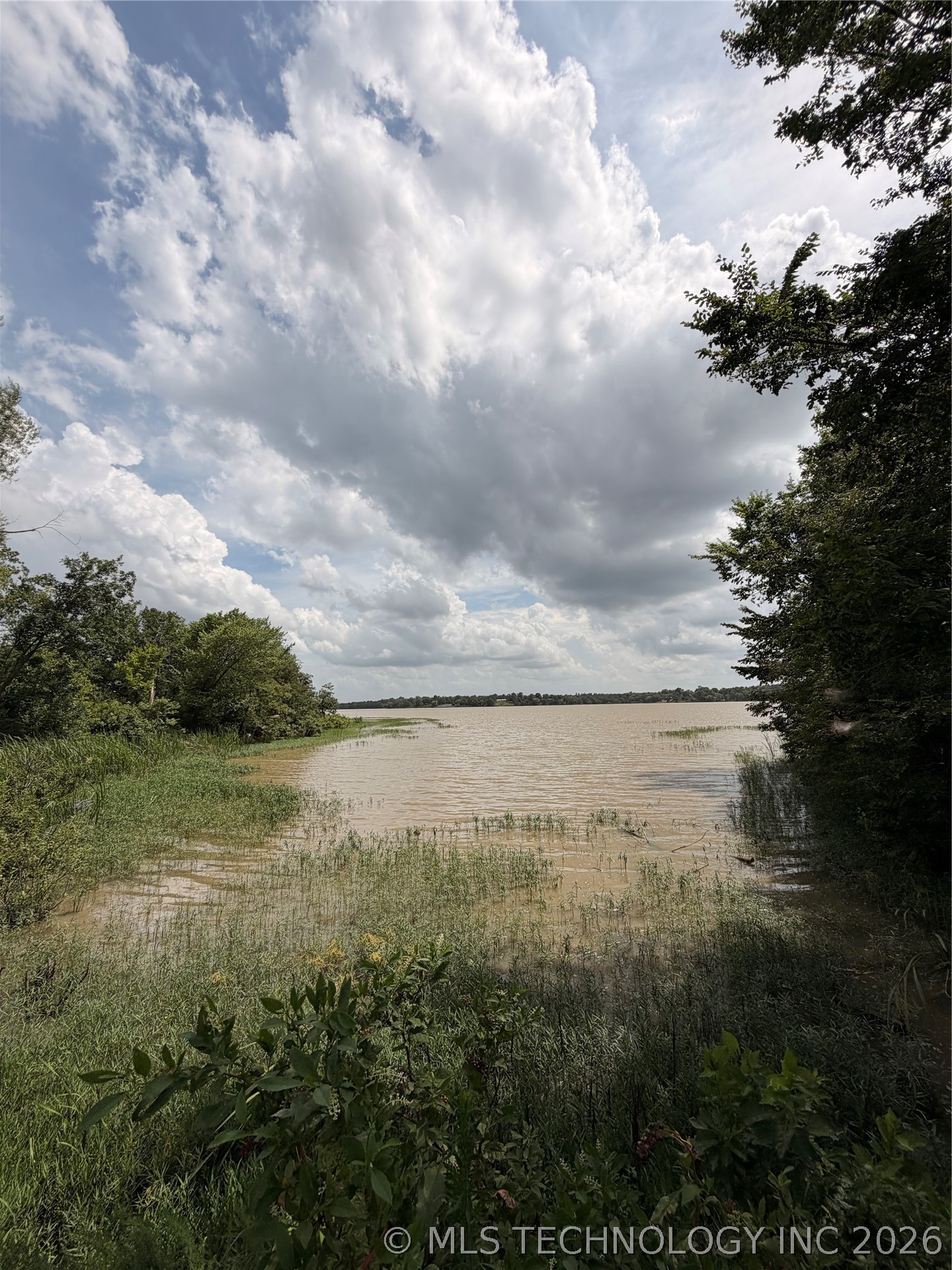 323 Swan Property Photo 18