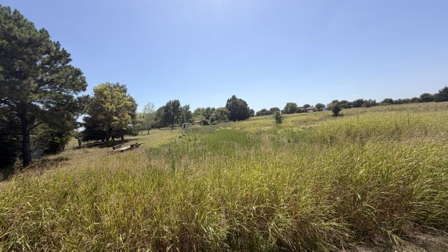Cypress Avenue Property Photo 1