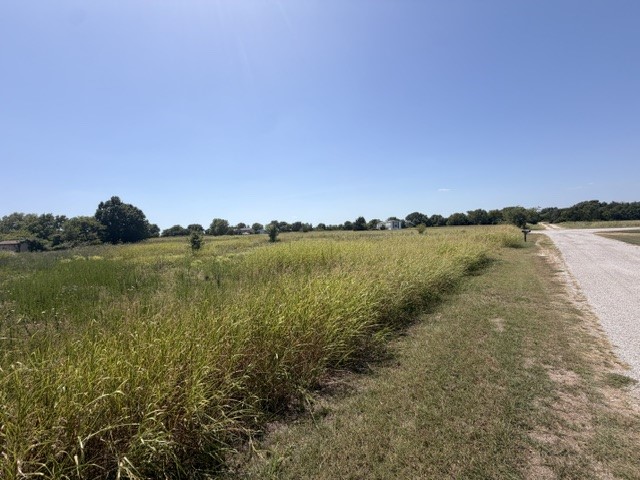 Cypress Avenue Property Photo 3