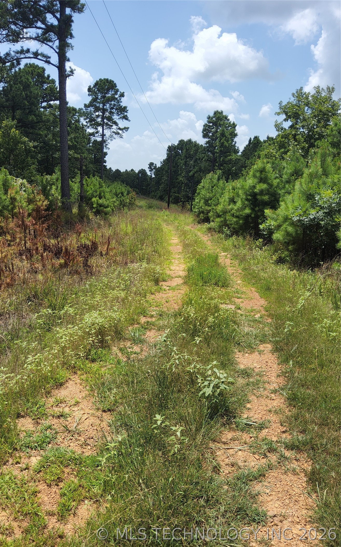 2626542 Property Photo 1