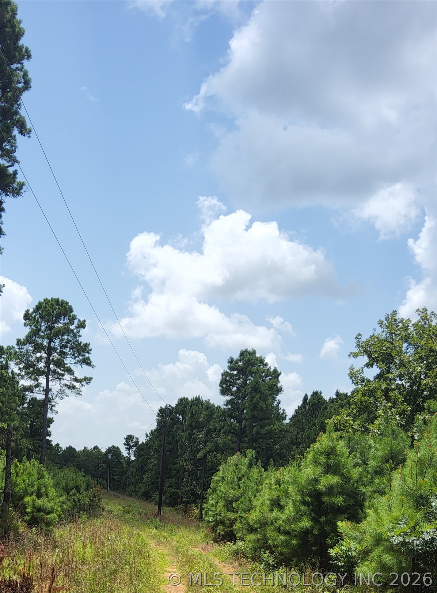 2626542 Property Photo 2