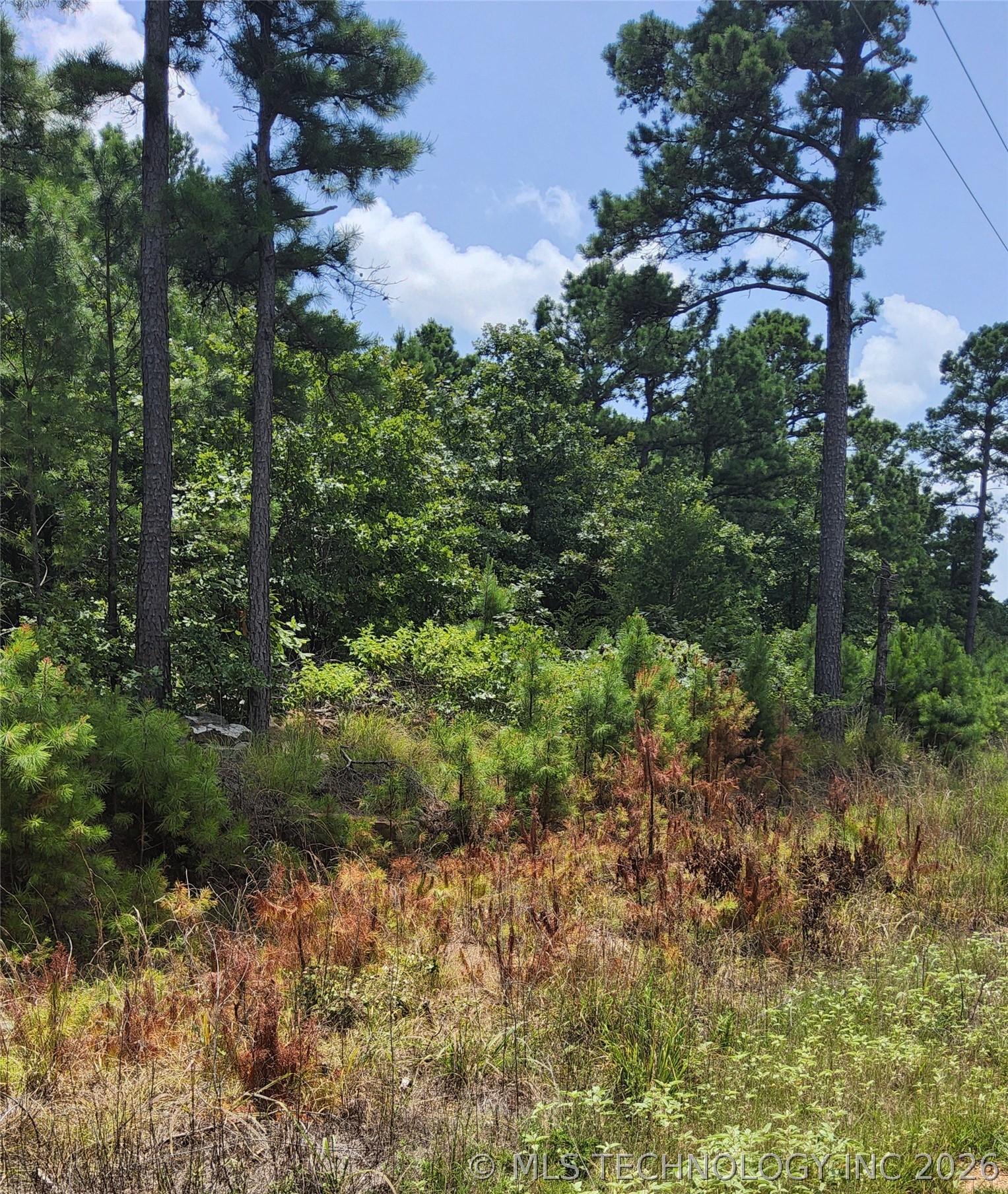 2626542 Property Photo 3