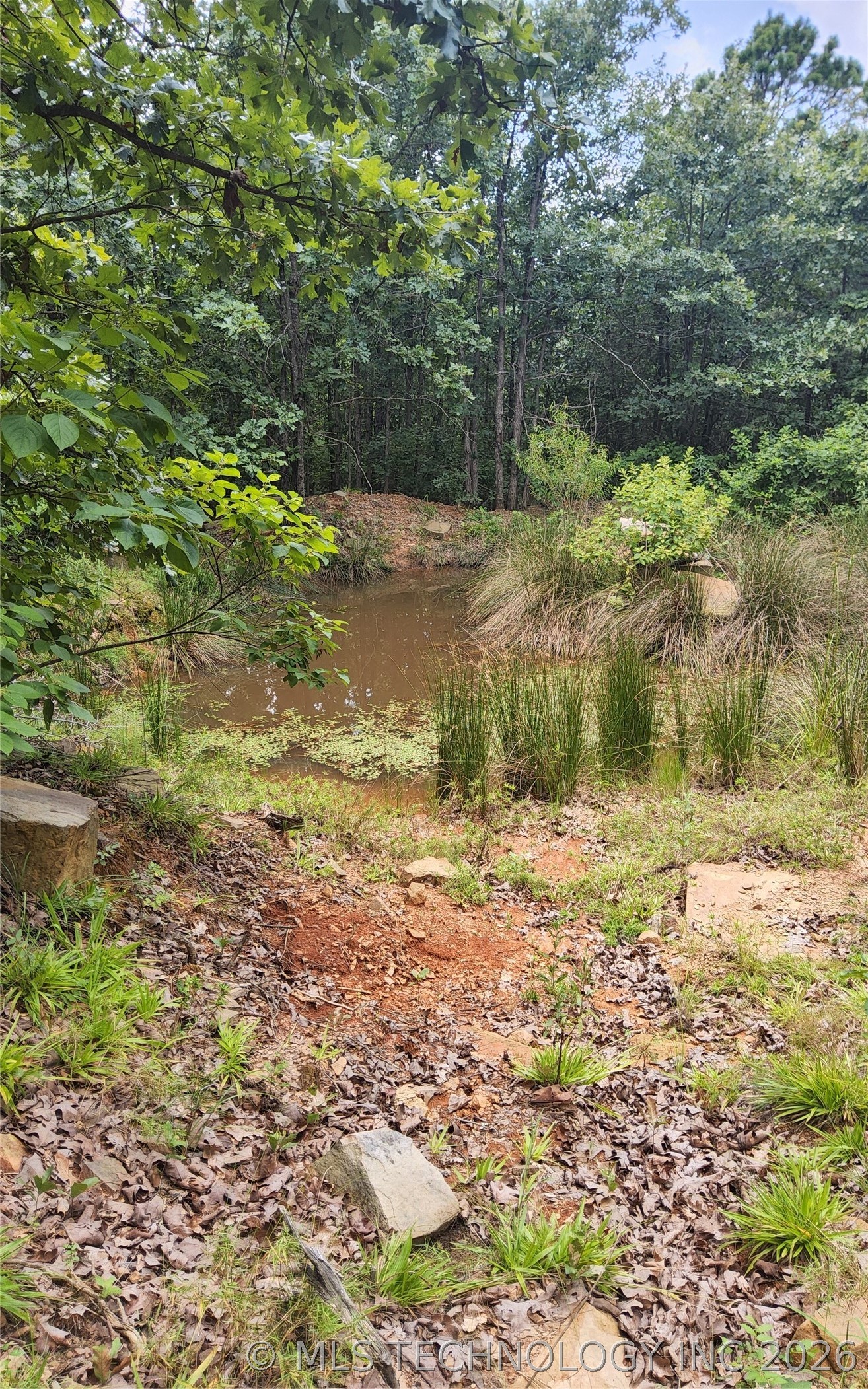 2626542 Property Photo 9