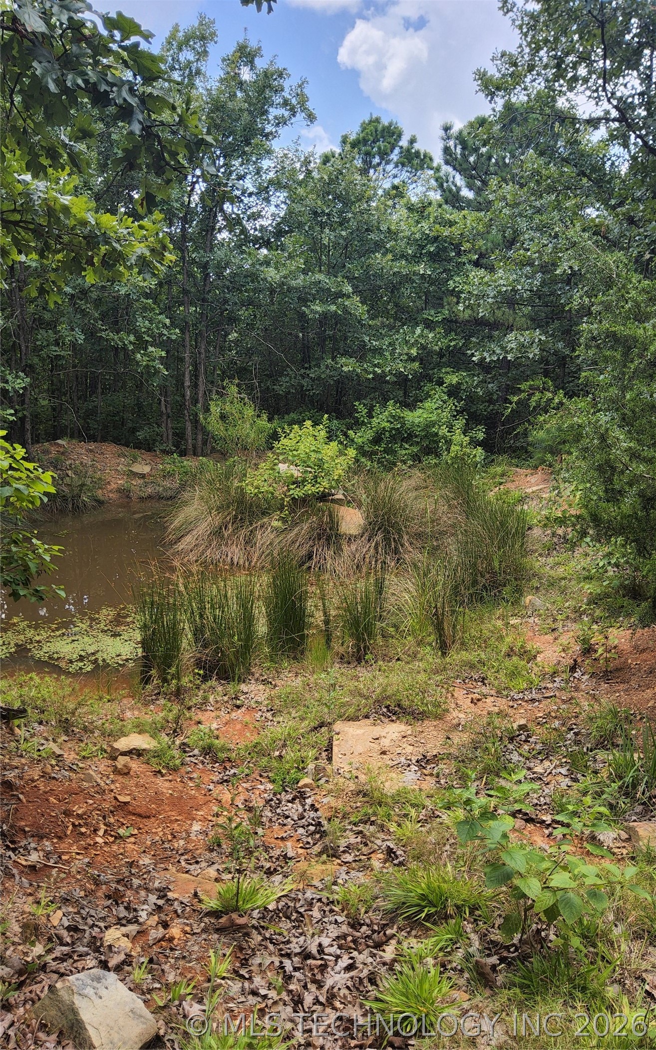 2626542 Property Photo 10