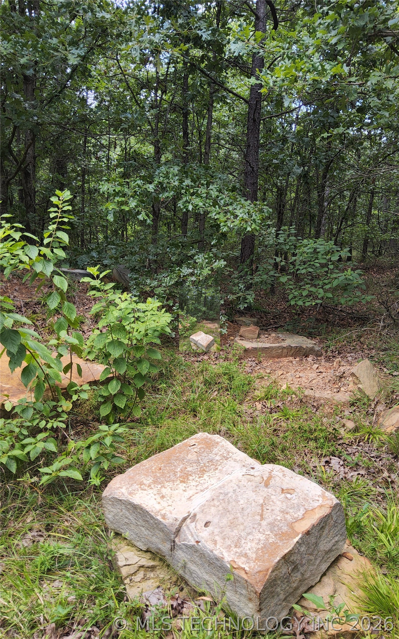 2626542 Property Photo 11