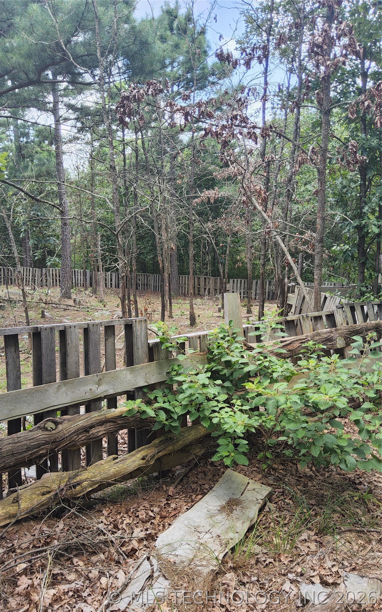2626542 Property Photo 12