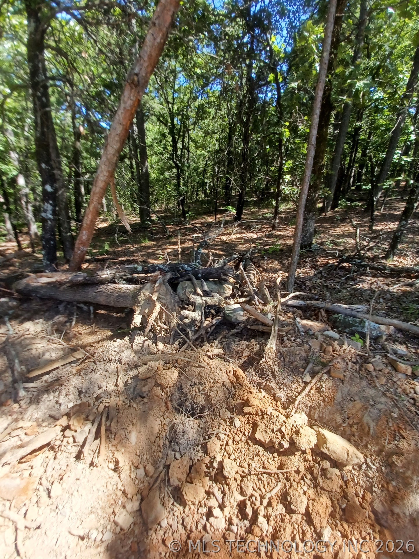 31548 S 4450 Road Property Photo 24