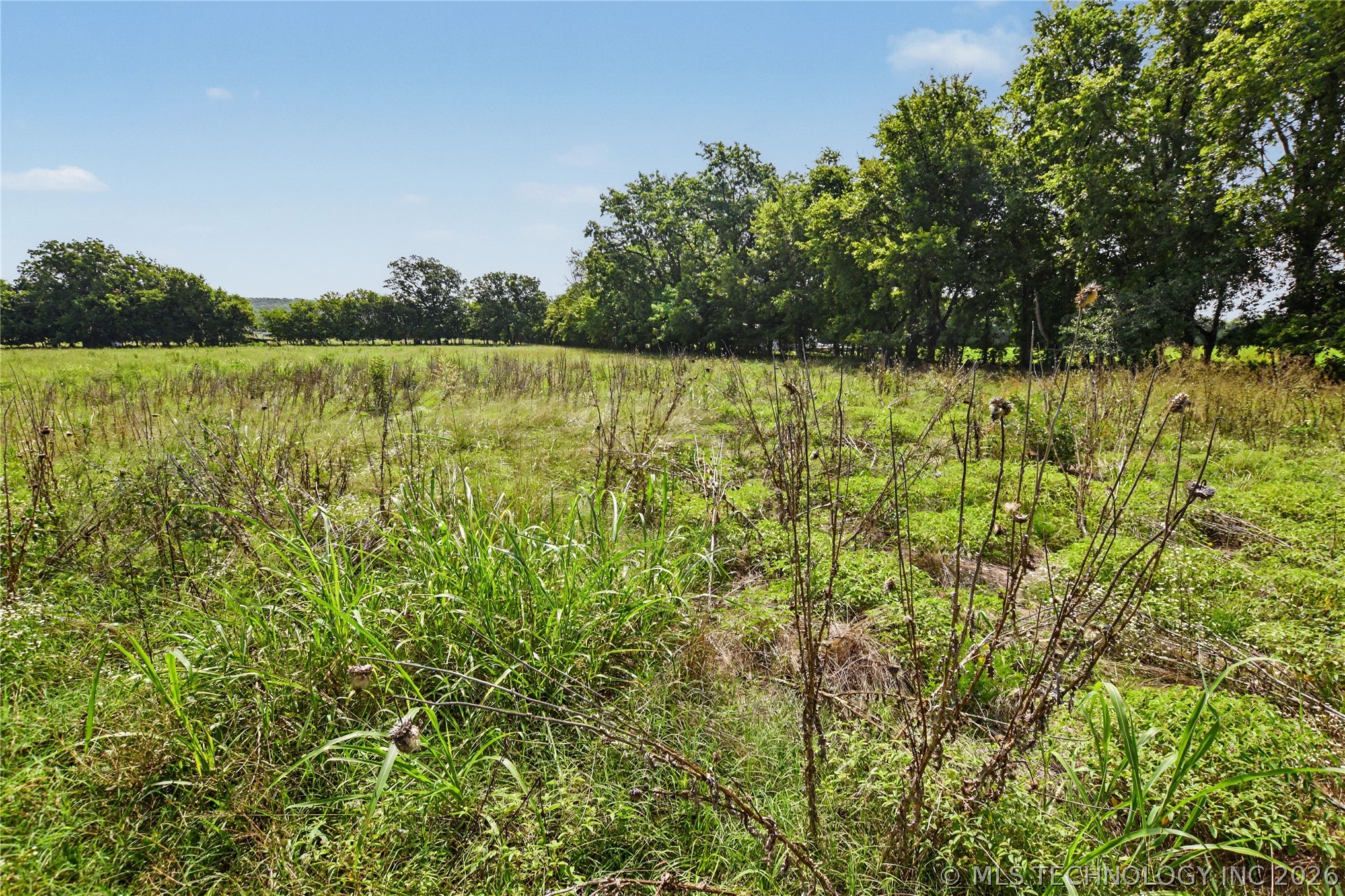 14201 Hwy 62 Property Photo 4