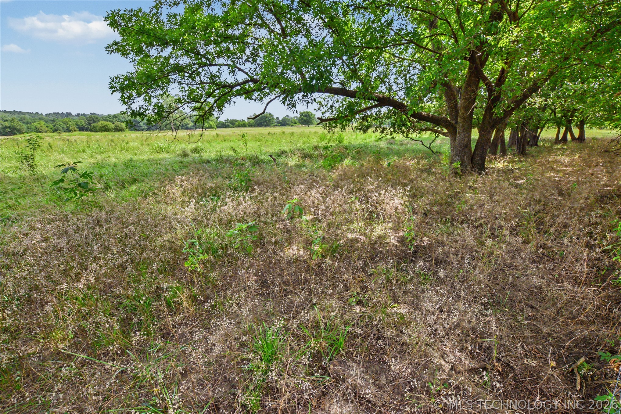 14201 Hwy 62 Property Photo 8