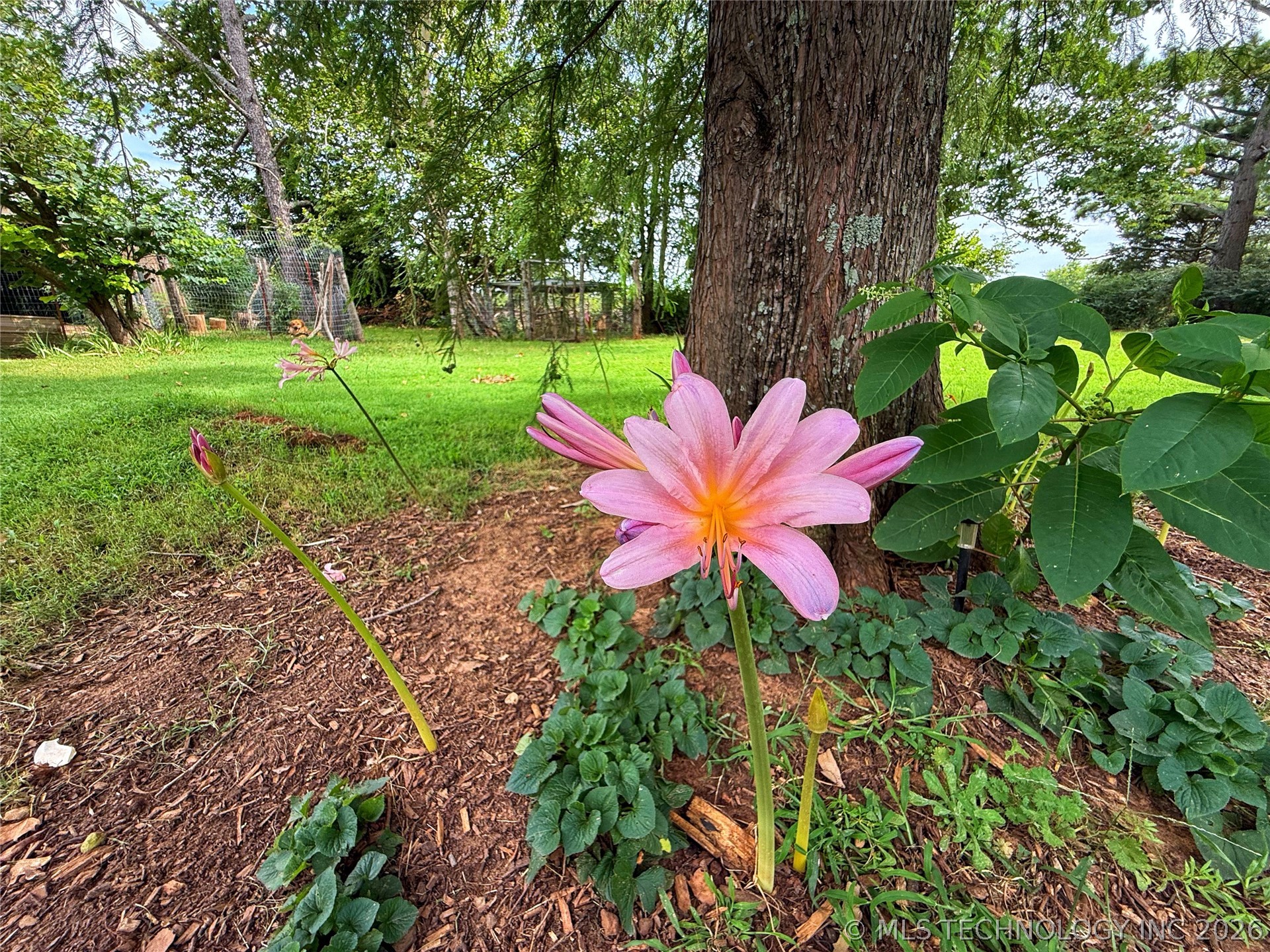 3512 N 3693p Property Photo 38