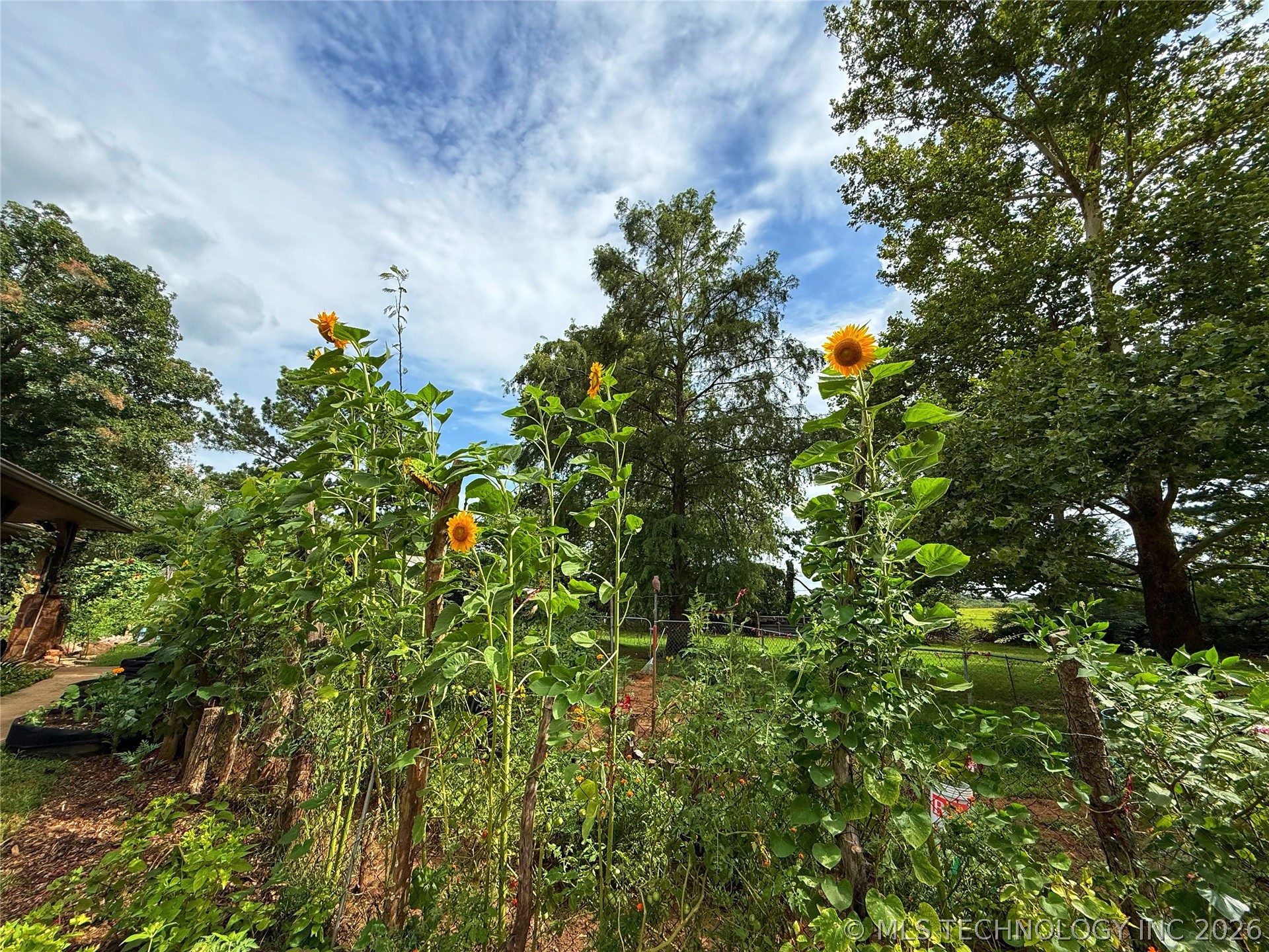 3512 N 3693p Property Photo 39