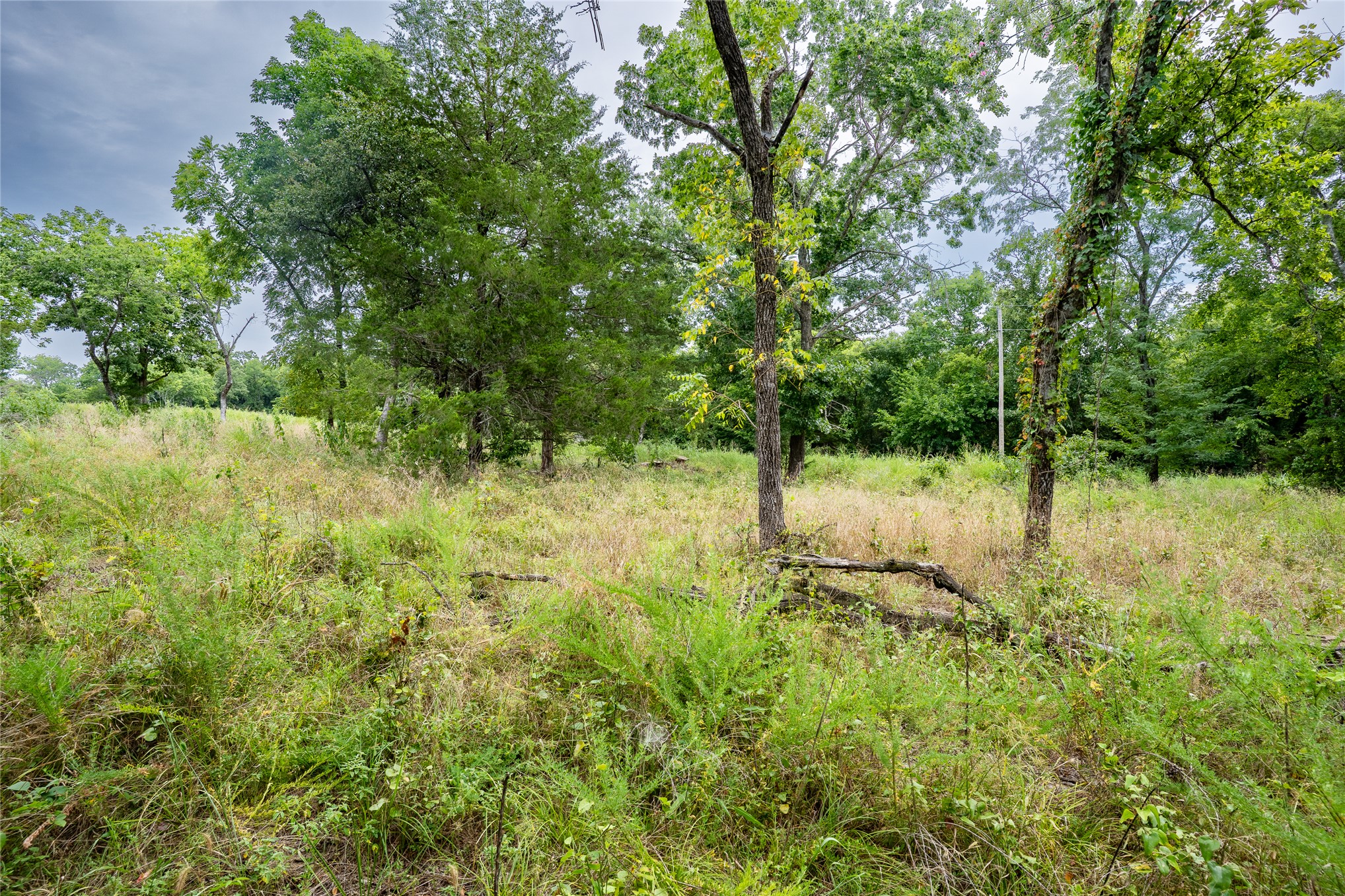 W 880 Road Property Photo 17