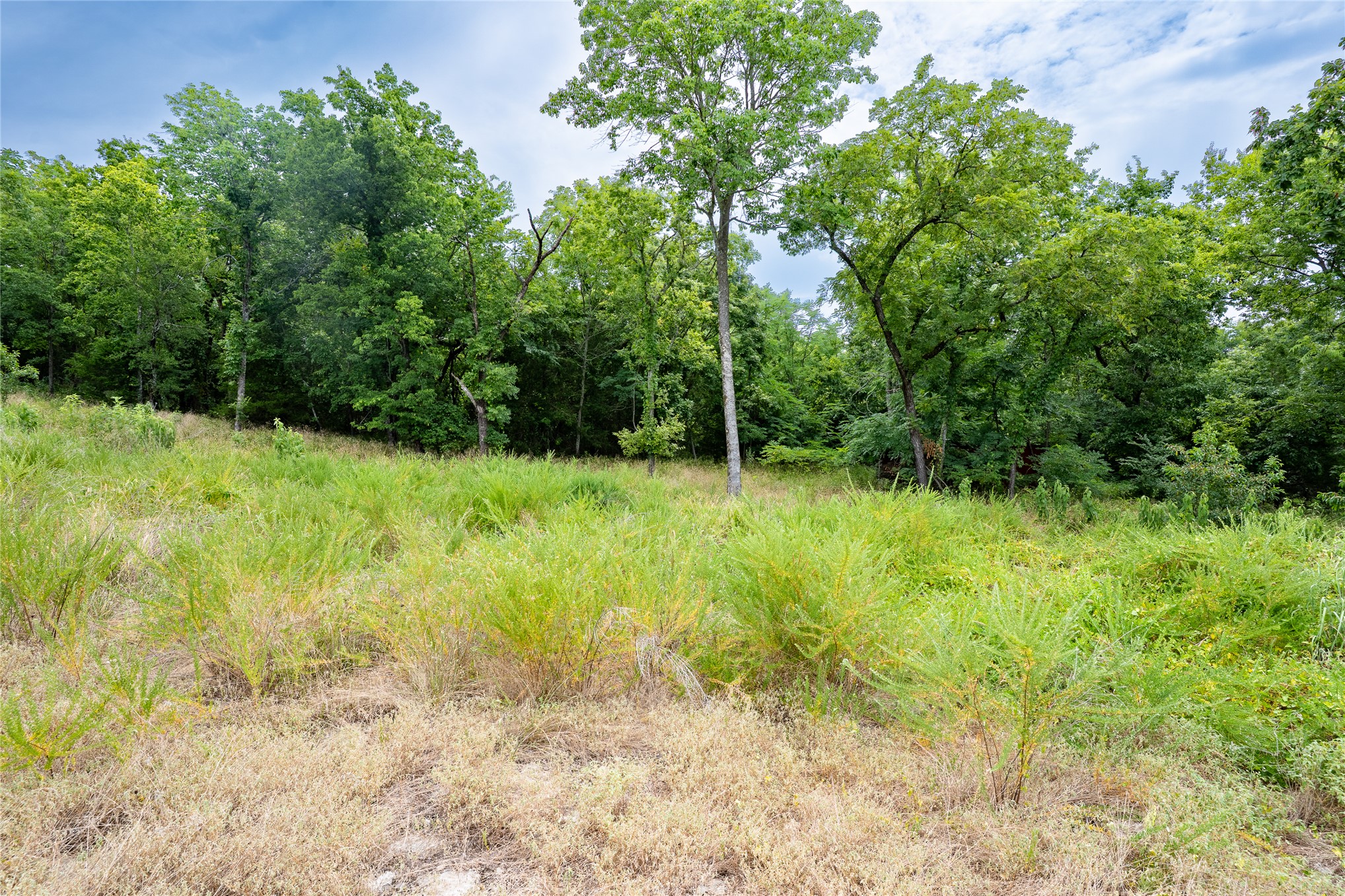 W 880 Road Property Photo 25