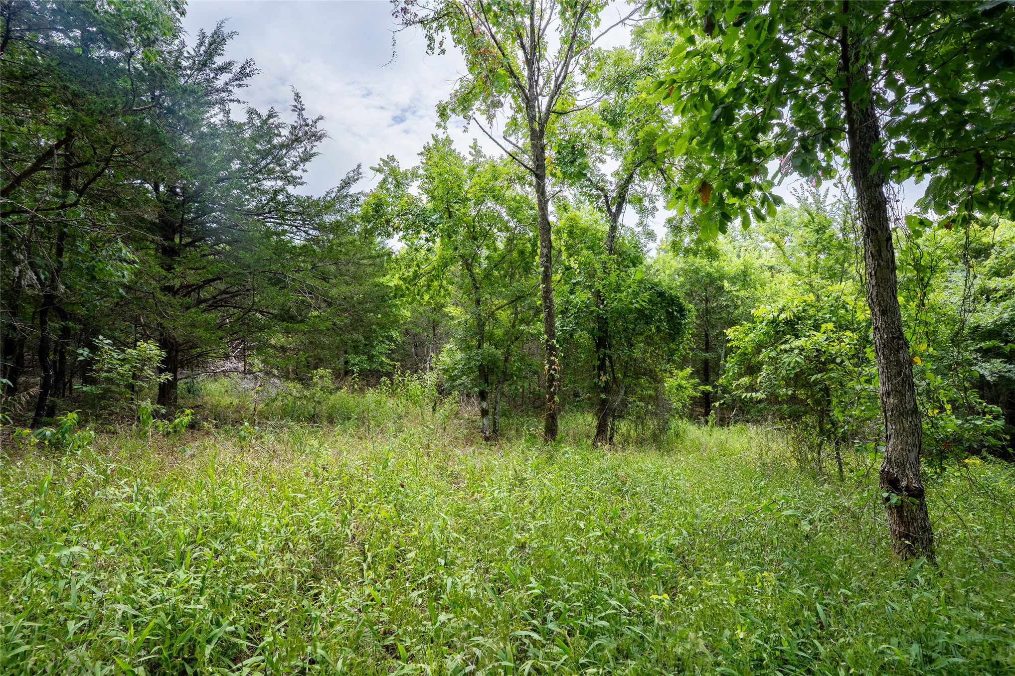 W 880 Road Property Photo 33