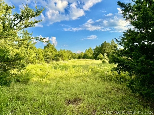 447530 E 1011 Property Photo 6