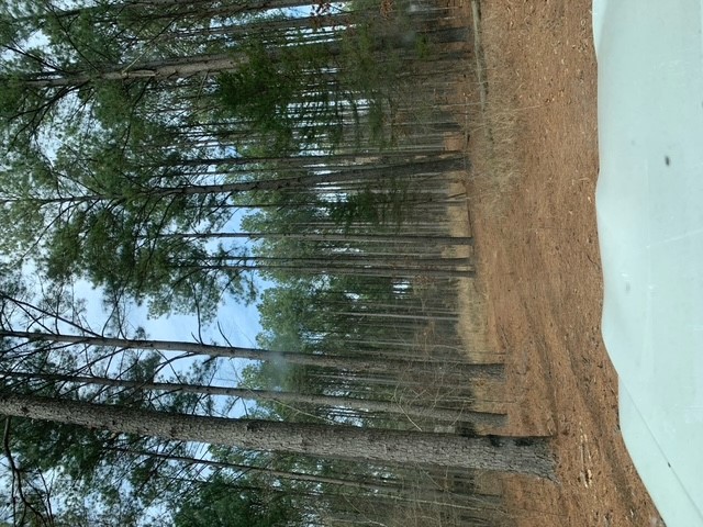 18 Whispering Pine Property Photo 1