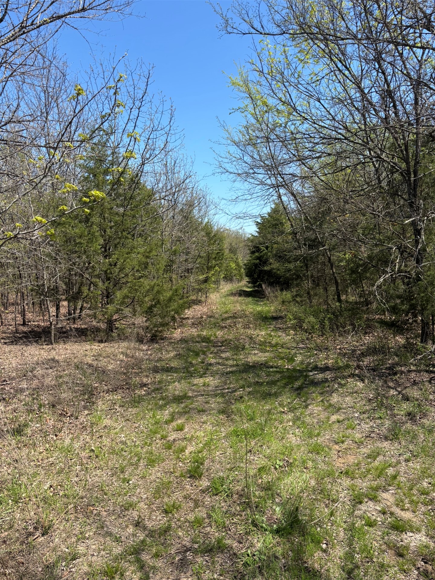 389 Road Property Photo 5