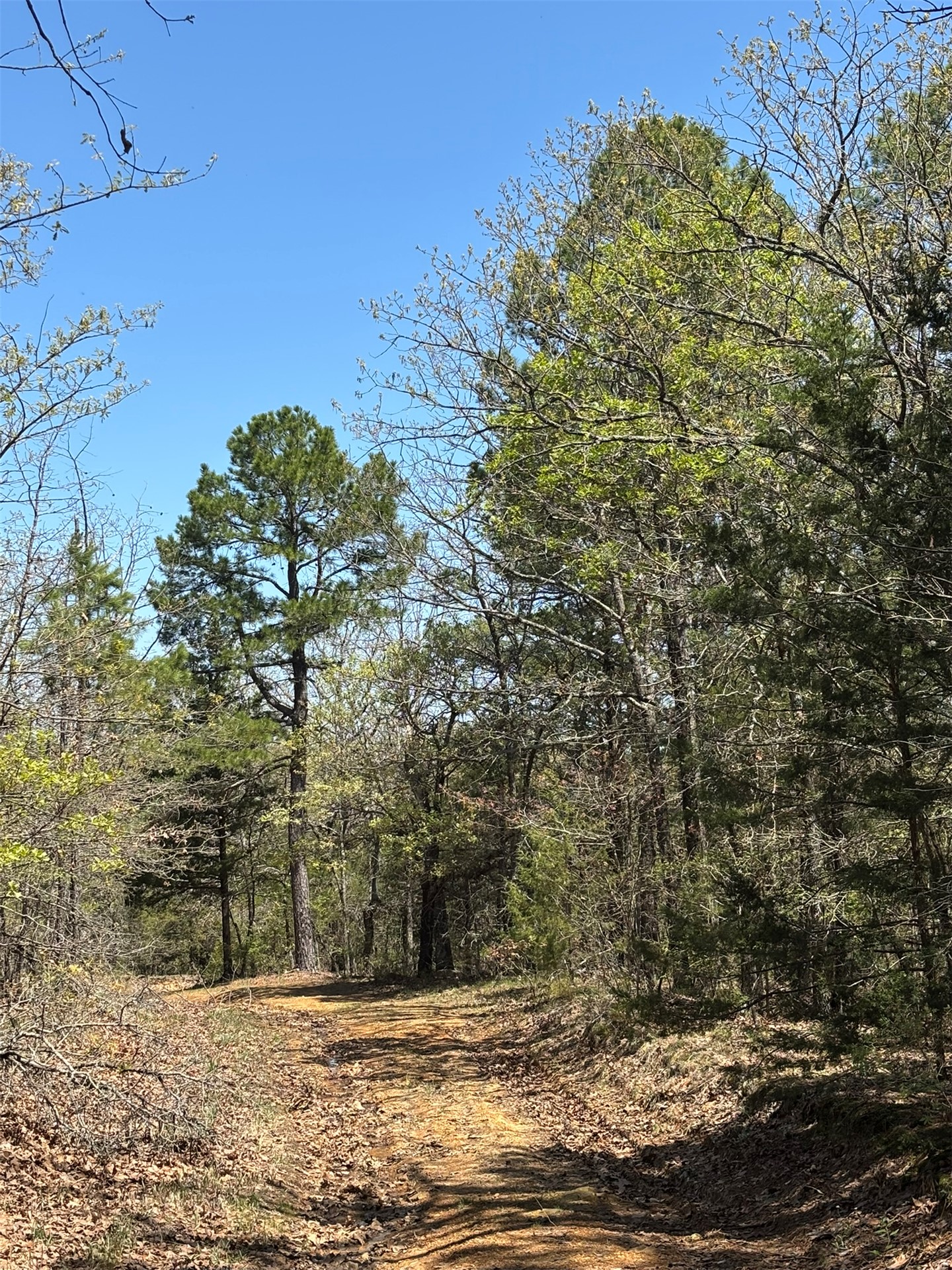 389 Road Property Photo 13