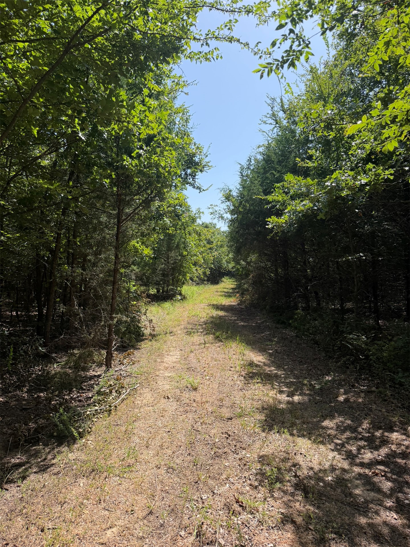 389 Road Property Photo 26