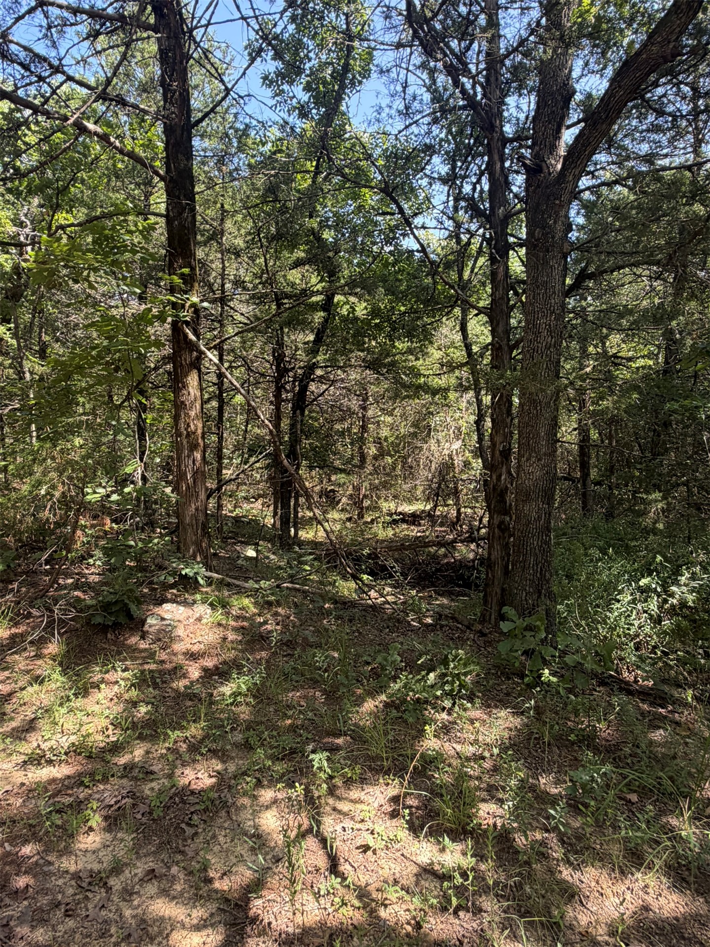 389 Road Property Photo 29