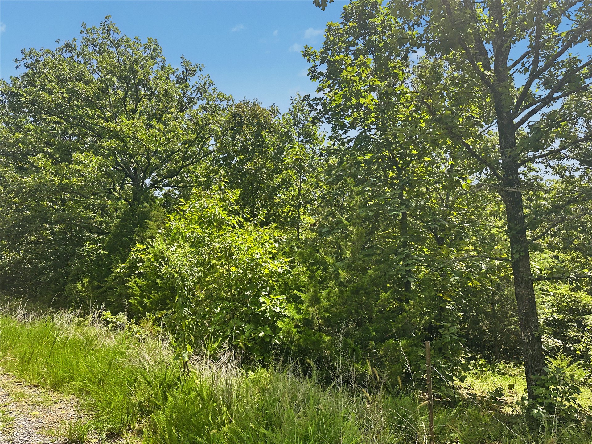 36112 S Arrowhead Drive Property Photo 2