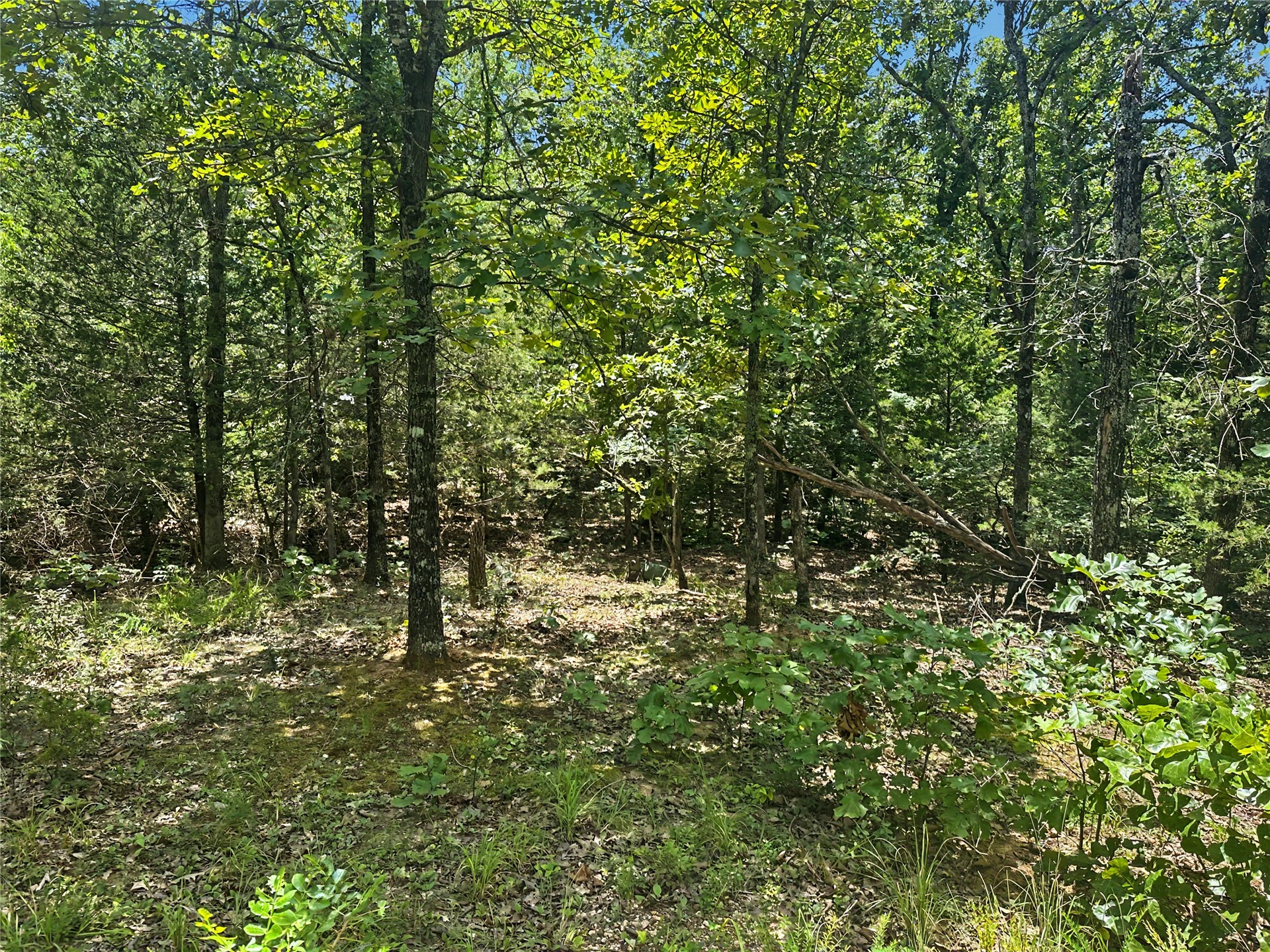 36112 S Arrowhead Drive Property Photo 6